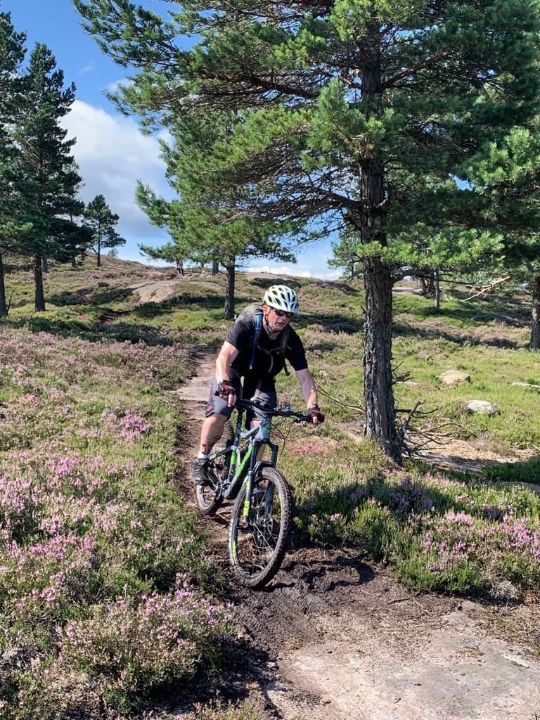 Cannondale Trigger Carbon 2 27.5: A person riding a mountain bike on a dirt trail surrounded by heather and pine trees on a sunny day. The rider is wearing a helmet and cycling gear, with flowering plants visible along the path.