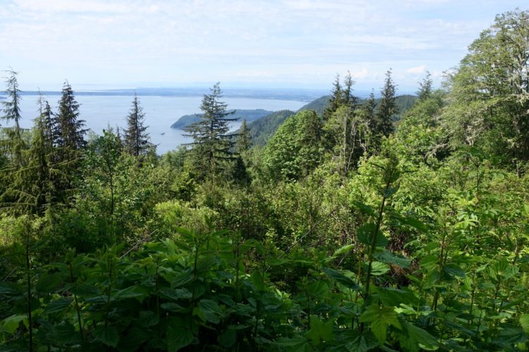 A panoramic view of a lush green landscape with trees and dense foliage in the foreground, leading down to a serene body of water in the distance, surrounded by mountains. The sky is partly cloudy, creating a bright and inviting atmosphere.