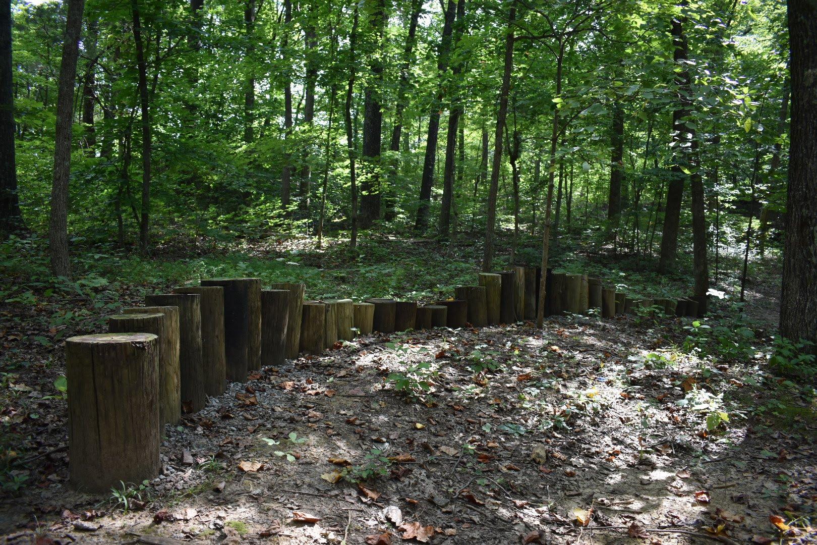 A line of wooden stumps along a dirt path, set in a lush green forest with sunlight filtering through the trees. The ground is covered with fallen leaves and small plants, creating a natural, earthy atmosphere. Saunder Springs mountain bike trail.