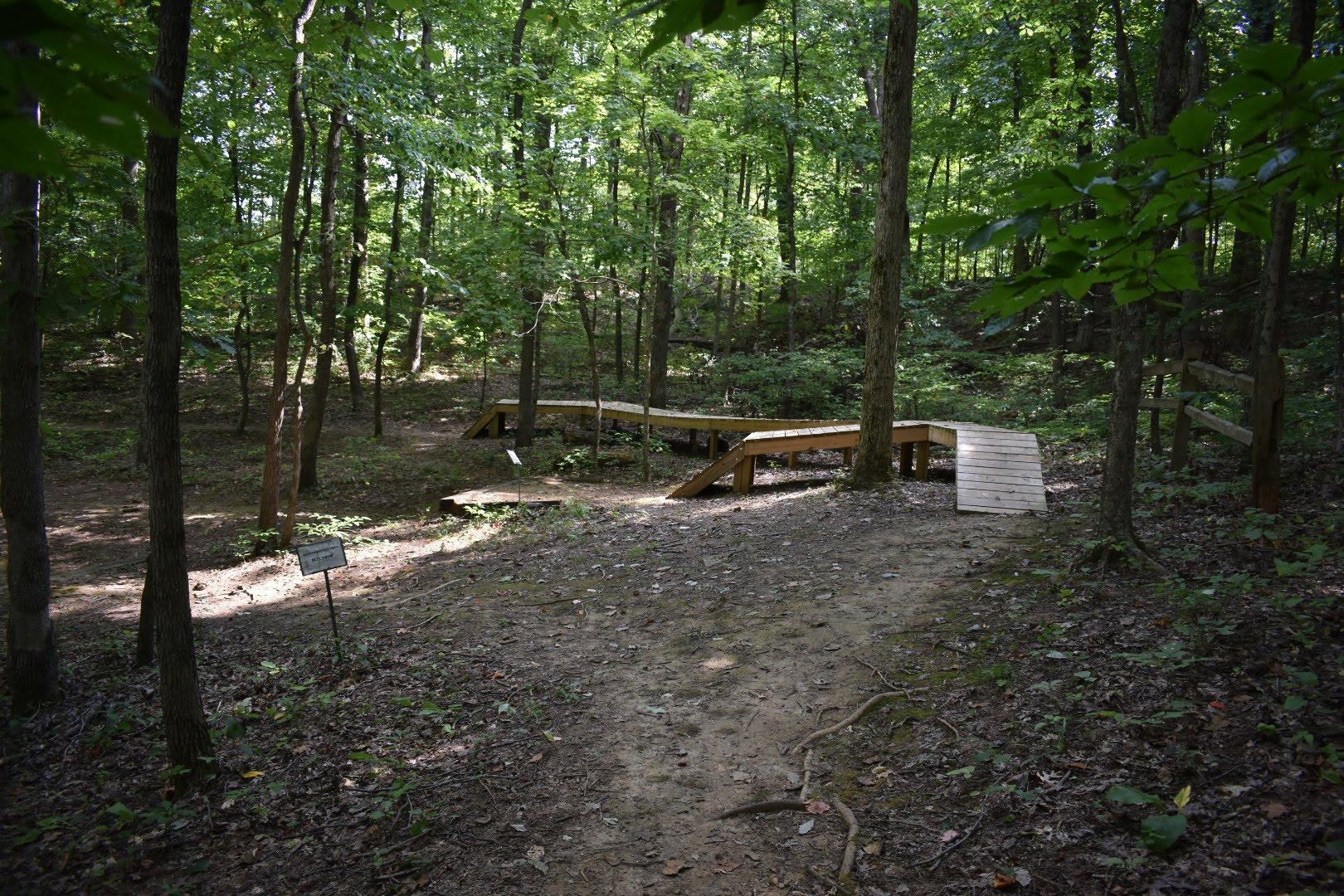 A serene forest path winding through lush greenery, featuring a wooden bridge that spans over a small section of the trail. Sunlight filters through the dense tree canopy, illuminating the earthy path lined with leaves and small plants. A signpost is visible along the trail, adding an element of interest to the natural setting. Saunder Springs mountain bike trail.