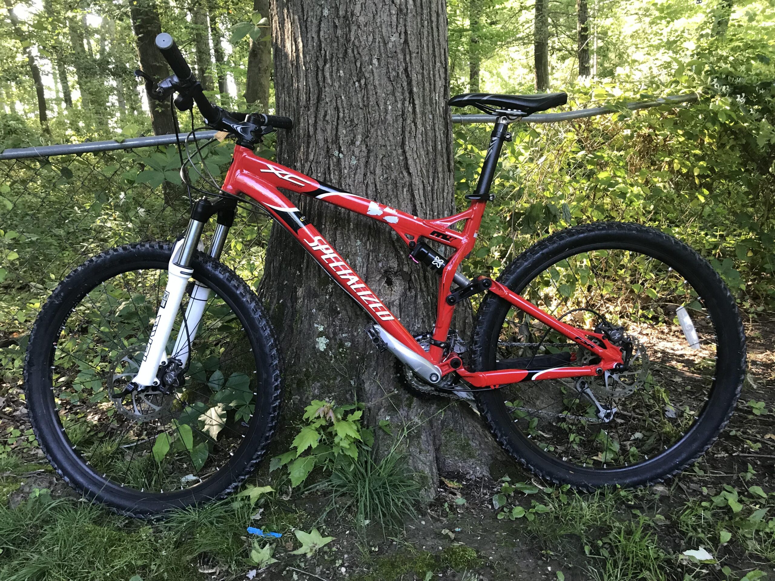 Specialized Specialized XC Comp MTB: A red mountain bike leaning against a tree in a lush green forest. The bike features thick tires, front suspension, and a sleek design, surrounded by vegetation and dappled sunlight filtering through the trees.