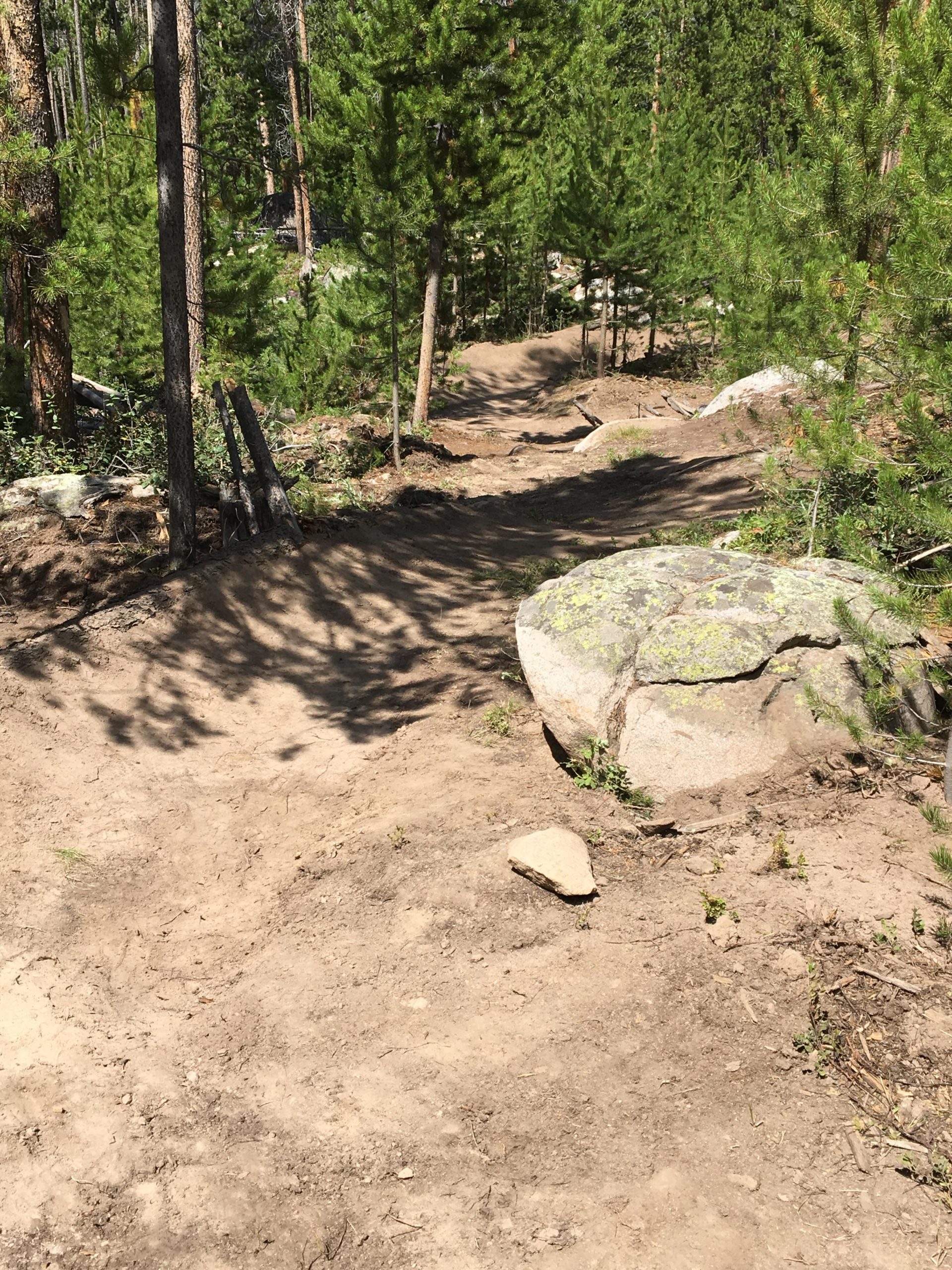 A winding dirt trail through a forested area, surrounded by tall green pine trees and rocky outcrops. The path is sunlit, showcasing a natural landscape ideal for hiking or biking. Grand Lake Metro Rec Trails mountain bike trail.