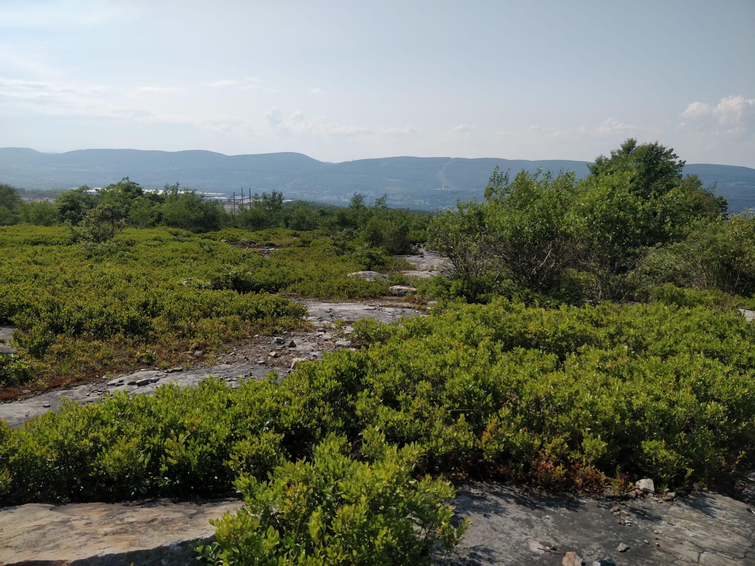 A scenic landscape view featuring a rocky outcrop surrounded by green vegetation, with rolling hills and a clear sky in the background. The scene captures a peaceful natural environment, highlighting the diverse textures of the rocks and foliage. Blueberry mountain bike trail.