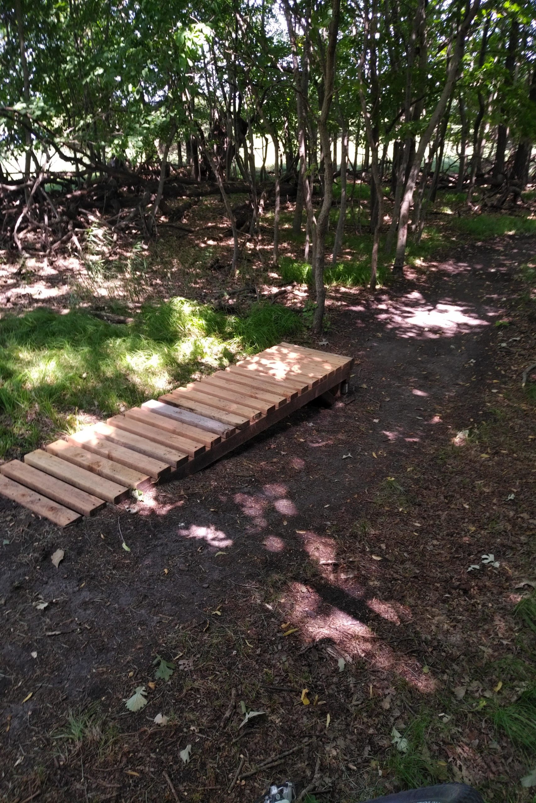 A wooden plank bridge is positioned on a path in a wooded area, surrounded by trees and patches of grass. Sunlight filters through the leaves, casting dappled shadows on the ground. The trail appears earthy and well-trodden, with scattered leaves and twigs. Prairie Woods Environmental Learning Center mountain bike trail.