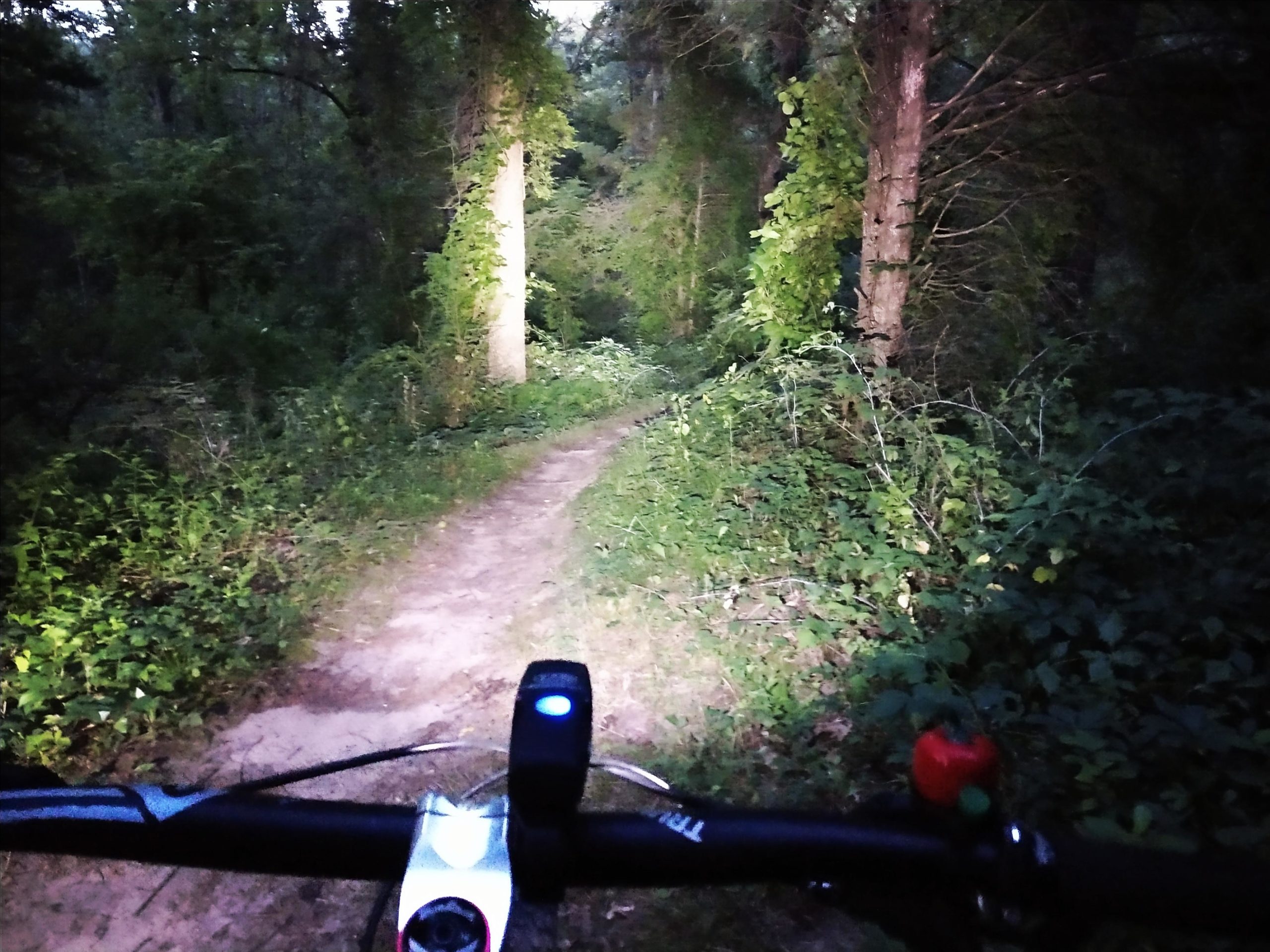 A view of a narrow dirt trail in a dense forest during twilight, seen from the perspective of a mountain bike handlebar. The trail is illuminated by a front bike light, highlighting the path ahead, while vegetation and trees surround the trail, creating a serene and adventurous atmosphere. Brighton Rec Area mountain bike trail.