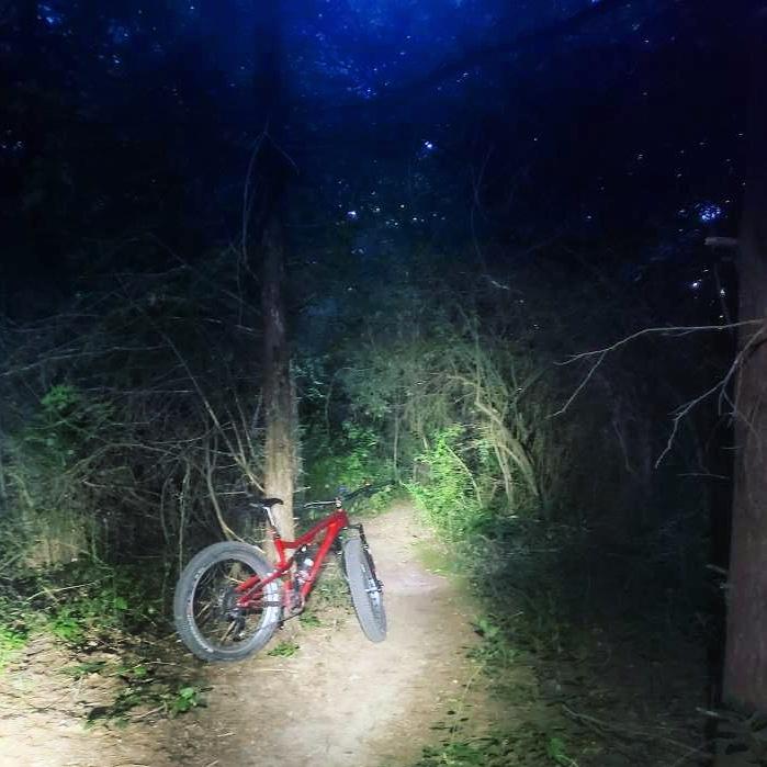 A red mountain bike rests on a narrow dirt path in a dense forest, illuminated by a flashlight beam. Surrounding the path are dark trees and underbrush, creating a mysterious nighttime atmosphere. Brighton Rec Area mountain bike trail.
