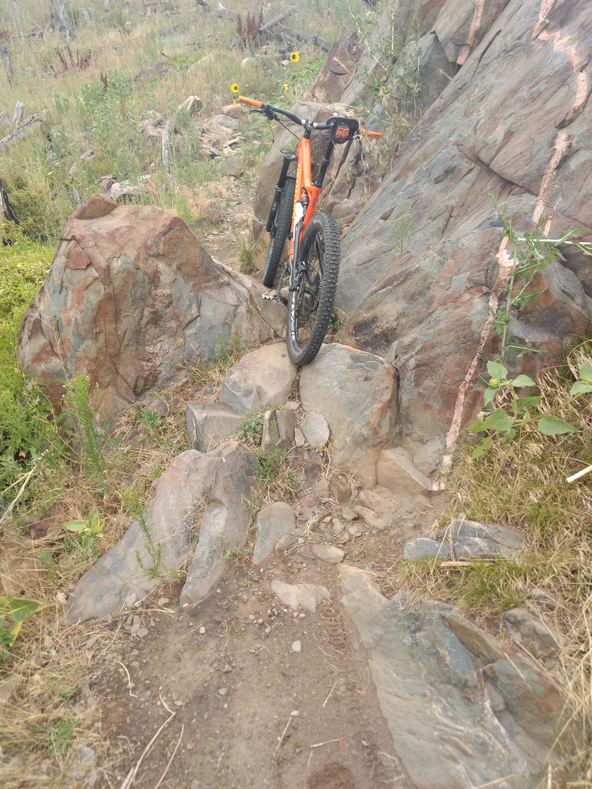A mountain bike resting on a rocky, uneven trail surrounded by greenery. Sunflowers are visible in the background, adding a touch of color to the natural landscape. The path is narrow and winds through large stones and patches of grass. Ginny Trail mountain bike trail.