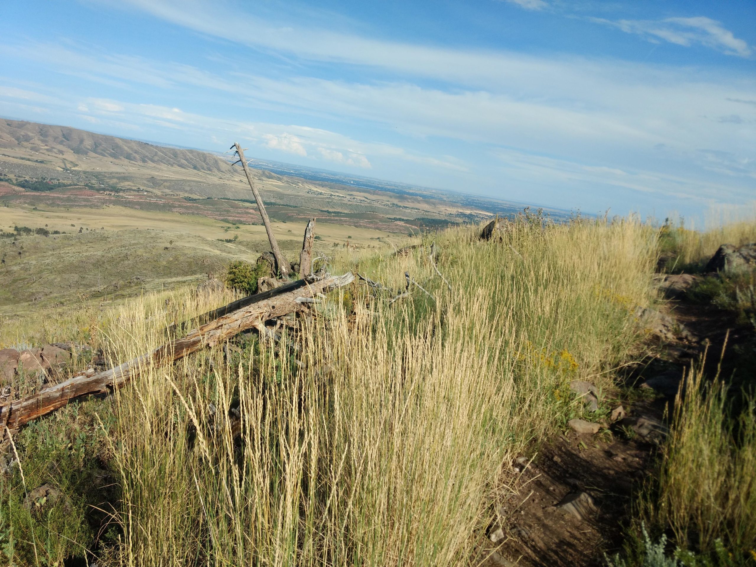 A scenic view from a hillside overlooking a valley with rolling hills and distant mountains, featuring tall grasses and a fallen log in the foreground. The sky is partly cloudy, indicating a clear day. Ginny Trail mountain bike trail.
