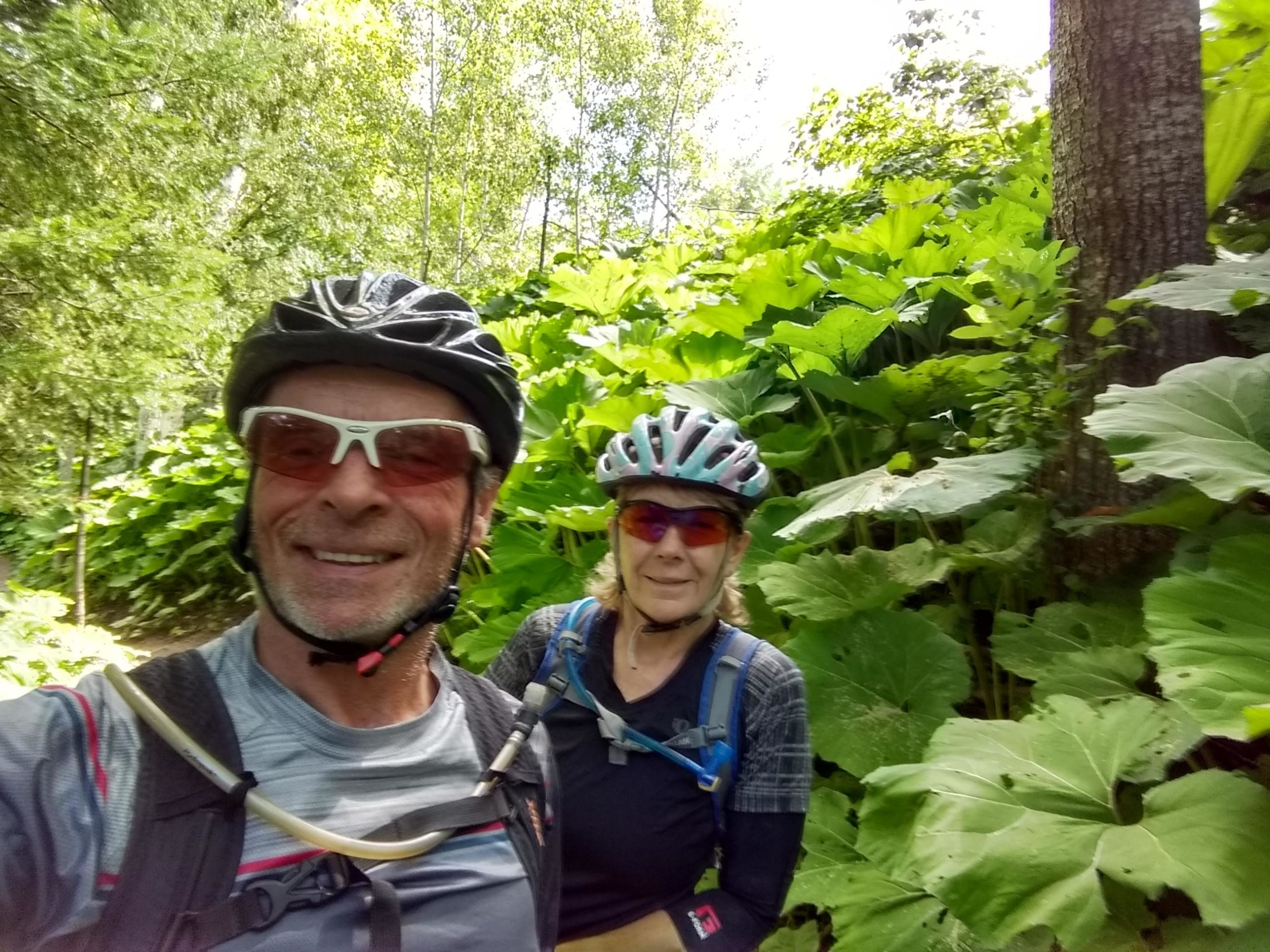 A smiling man and woman wearing cycling helmets and sunglasses, positioned among lush green foliage on a sunny day. The background features large leaves and trees, indicating a vibrant outdoor setting suitable for biking or hiking. Noquemonon Trail Network (NTN) North Trails mountain bike trail.