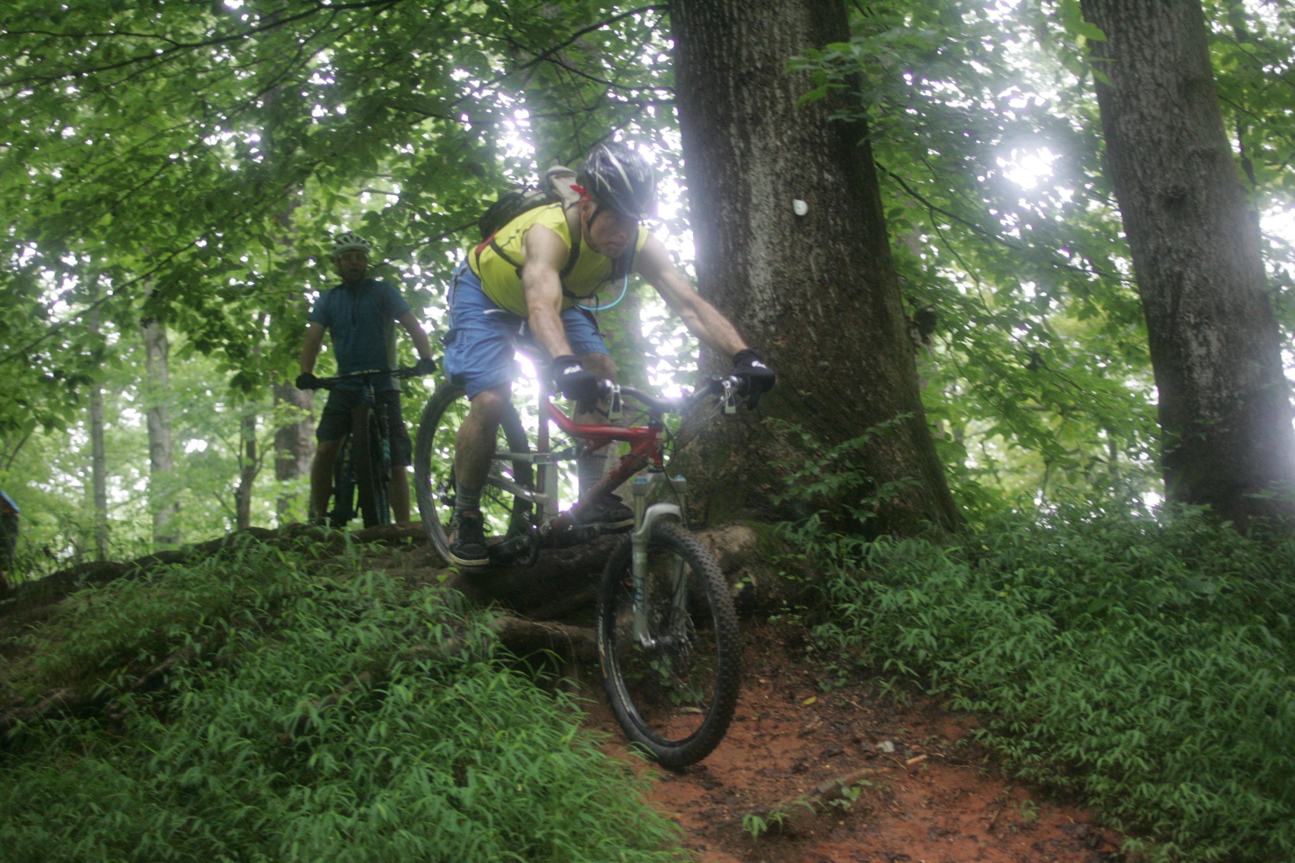 A mountain biker navigates a rocky trail surrounded by lush green trees, demonstrating skill and balance. In the background, another cyclist observes the scene. The ground is slightly muddy, indicating recent rain. Owls Roost (Bur-Mil Park) mountain bike trail.