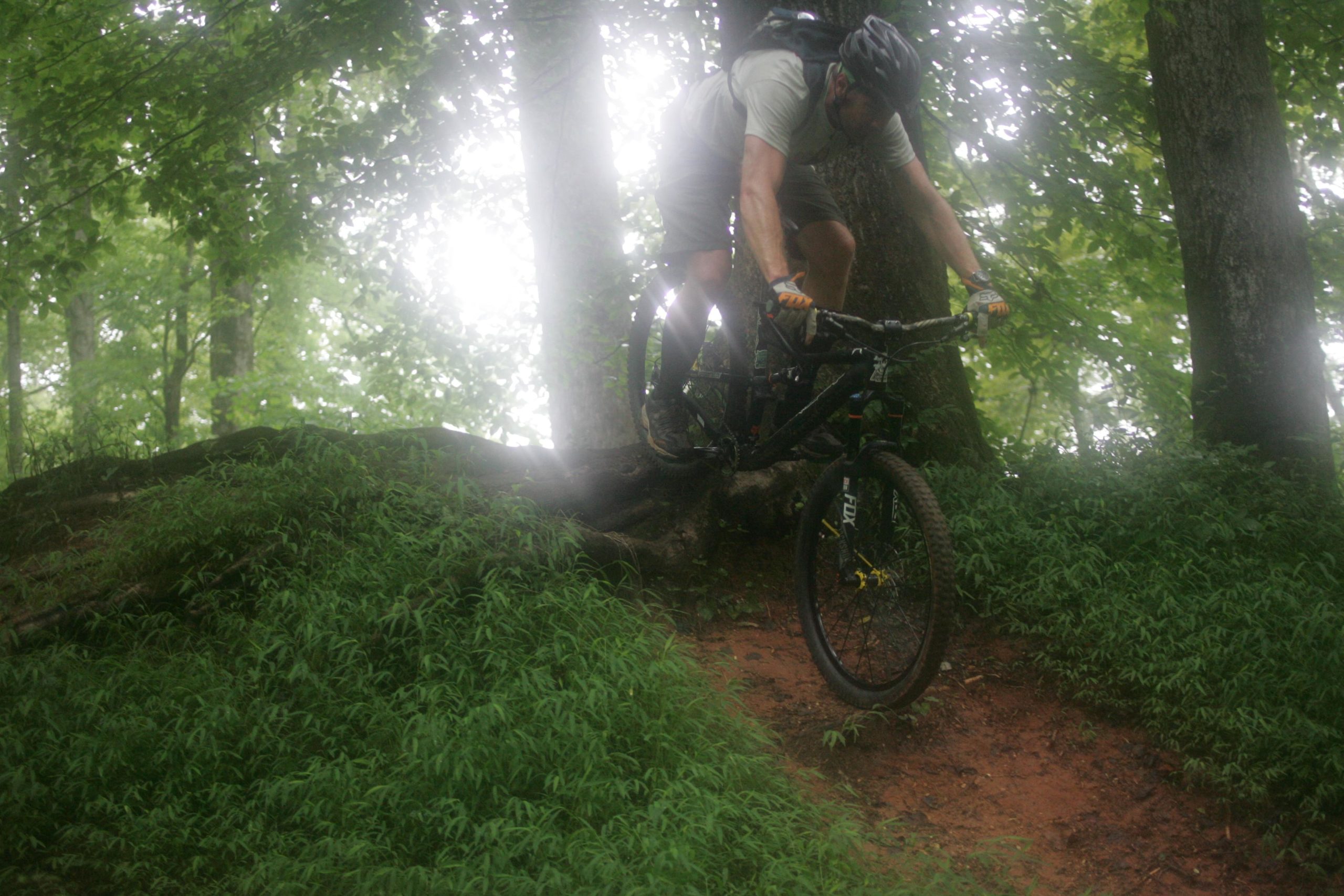 A mountain biker navigating a challenging section of a wooded trail, with a focus on balance and technique, surrounded by lush greenery and dappled sunlight filtering through the trees. Owls Roost (Bur-Mil Park) mountain bike trail.