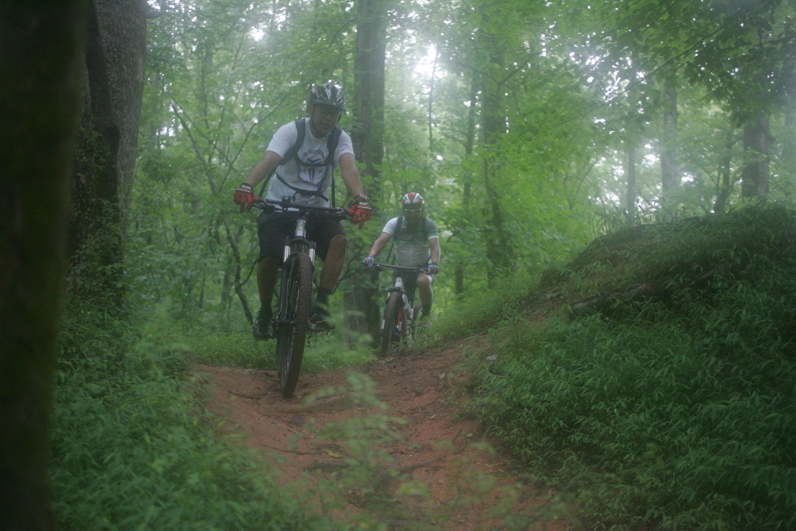 Two mountain bikers navigate a winding trail through a lush, green forest. The scene is misty, with tall trees and dense foliage surrounding the riders as they pedal along a dirt path. One cyclist is in the foreground, wearing a helmet and a white shirt, while the other is slightly behind, dressed in a gray top. Both appear focused and engaged in their ride. Owls Roost (Bur-Mil Park) mountain bike trail.