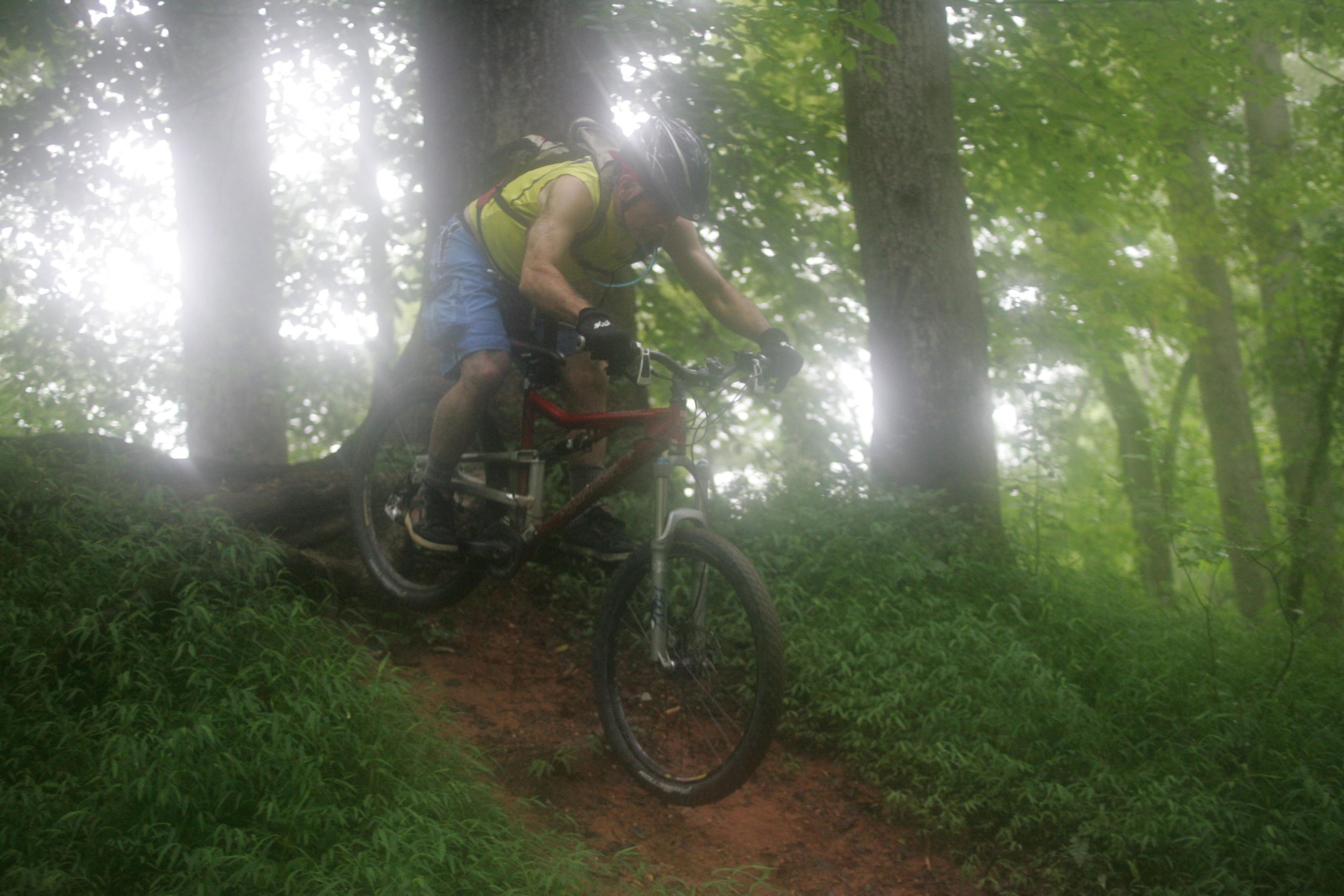 A mountain biker dressed in a yellow shirt and blue shorts is navigating a dirt trail in a lush, green forest. The biker is airborne as he rides over a raised section of the trail, surrounded by trees and foliage, with a soft mist in the air. Owls Roost (Bur-Mil Park) mountain bike trail.