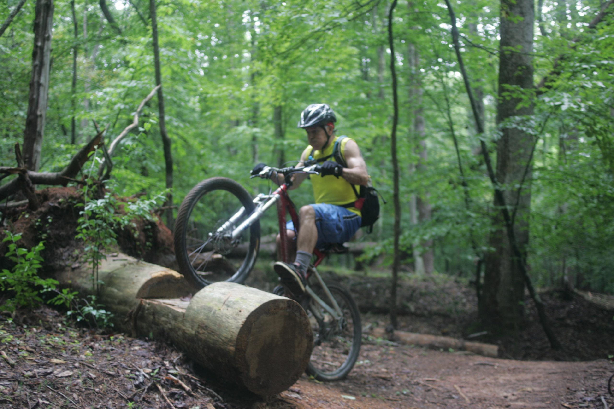 A mountain biker performing a jump over a log on a dirt trail in a lush green woodland. Owls Roost (Bur-Mil Park) mountain bike trail.