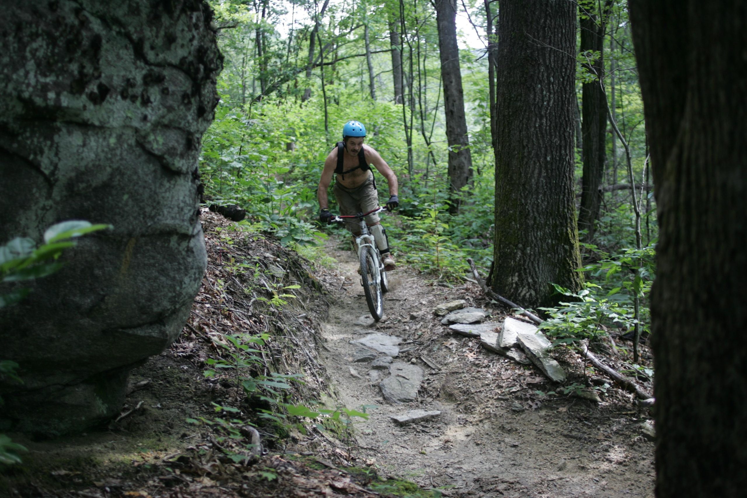 A mountain biker navigating a rocky trail surrounded by lush green foliage and trees in a forest setting. The biker is wearing a blue helmet and is captured mid-ride, demonstrating skill and balance on the uneven terrain. Weed Patch Mountain Trail mountain bike trail.