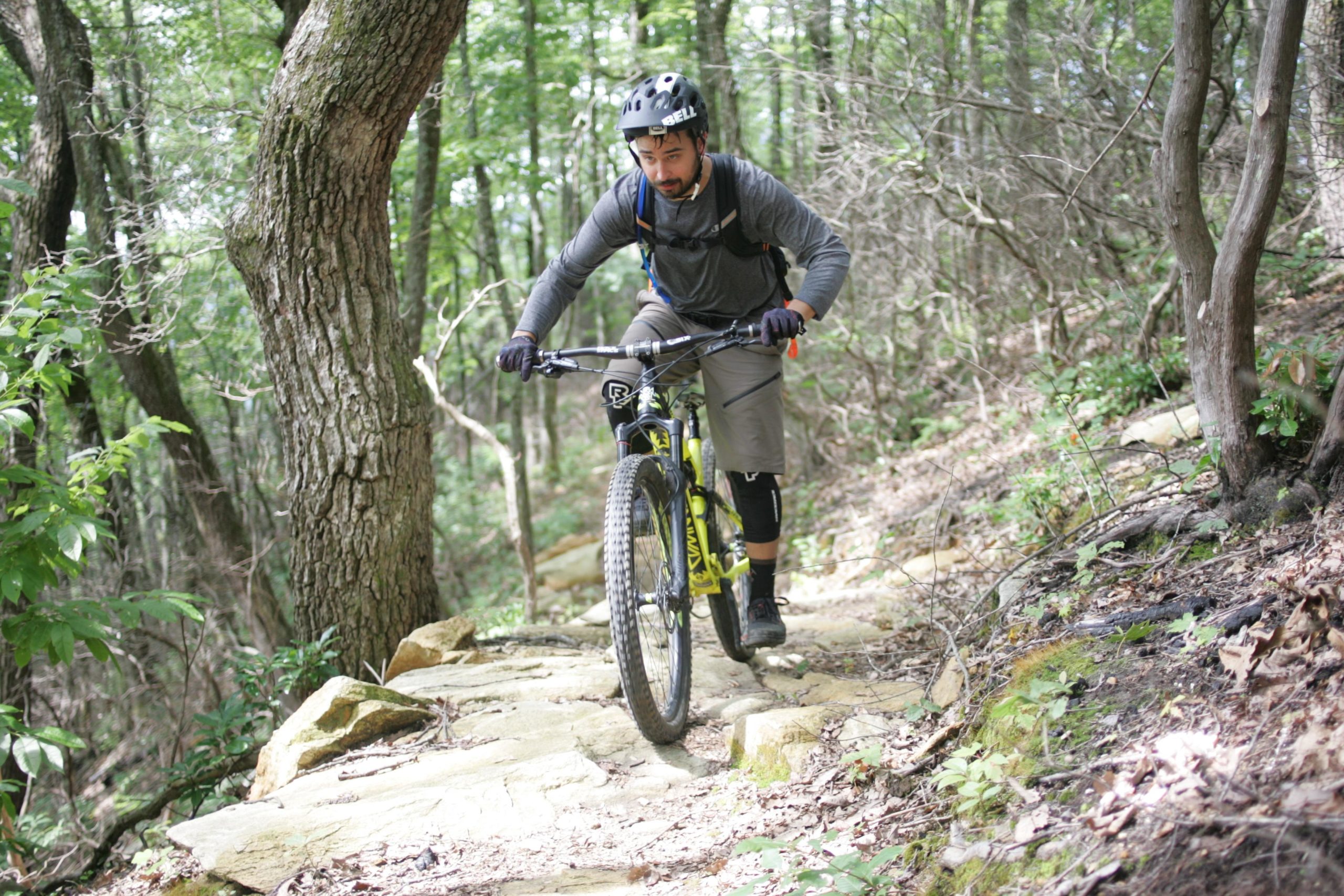A mountain biker navigating a rocky trail in a wooded area, wearing a helmet, gloves, and protective gear. The cyclist is focused on riding uphill, surrounded by lush greenery and tree trunks in a natural setting. Weed Patch Mountain Trail mountain bike trail.