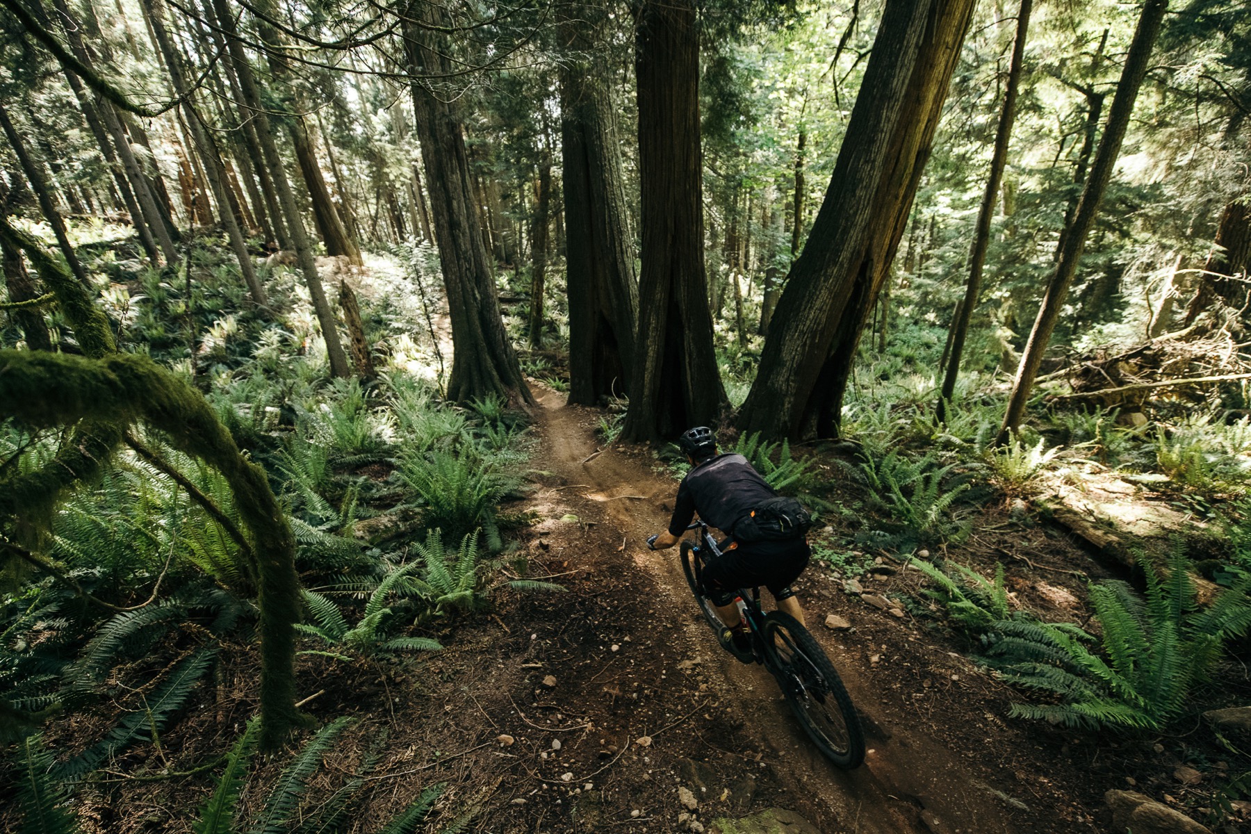 Mountain Biking Bellingham, Washington Loamy, Steep, and Beautiful
