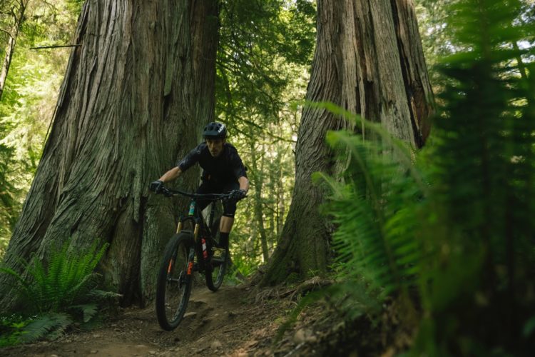 Mountain Biking Bellingham, Washington Loamy, Steep, and Beautiful Singletracks Mountain Bike