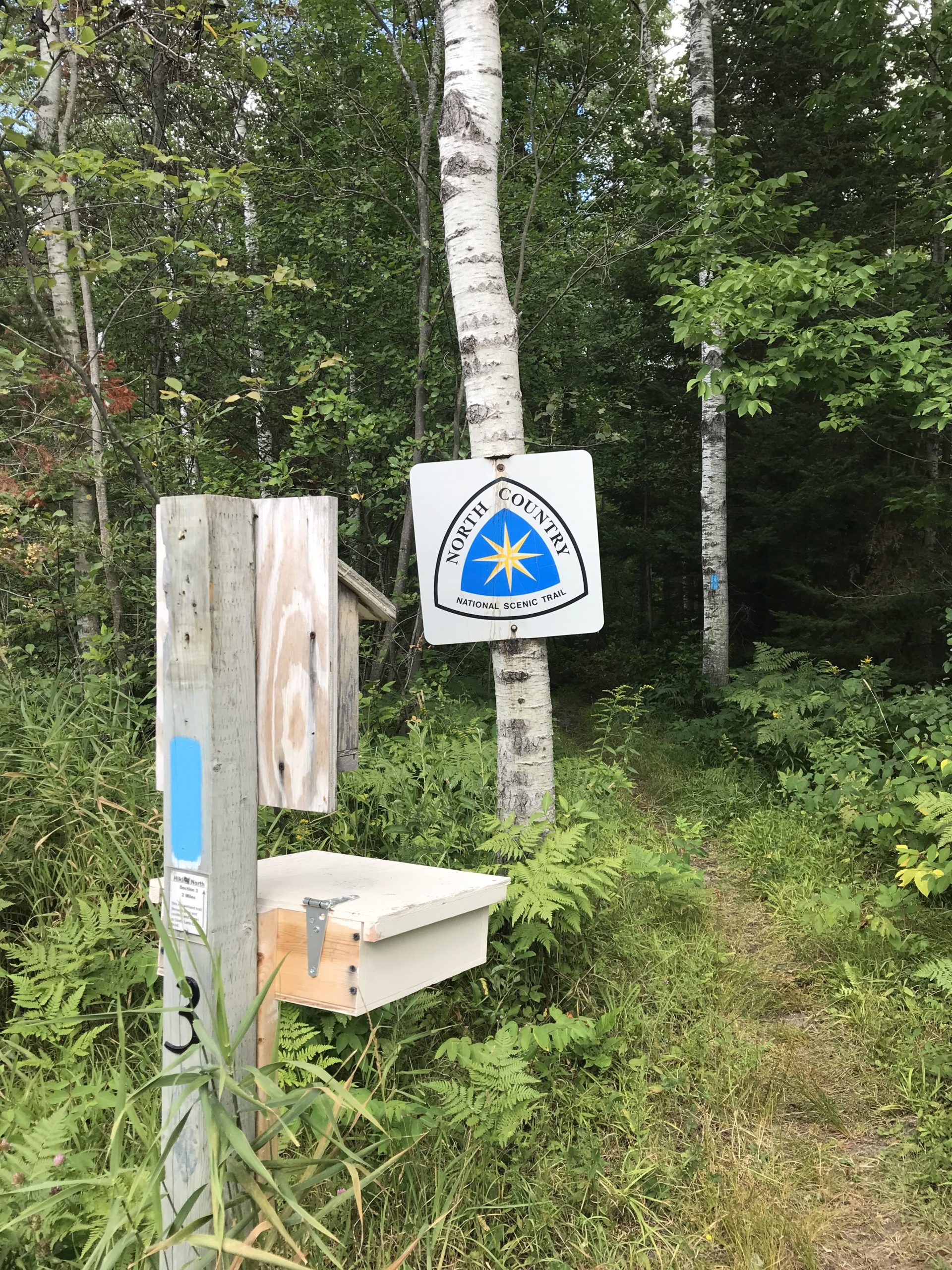 A trailhead sign for the North Country National Scenic Trail, attached to a tree, with a wooden post and small mailbox nearby. The surrounding area is lush with greenery, including ferns and tall grass, indicating a natural wooded environment. Kipp Rd mountain bike trail.