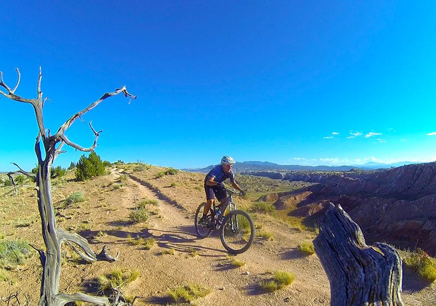 A mountain biker rides along a dirt trail on a sunny day, surrounded by a rocky landscape and sparse vegetation. In the foreground, a dry tree branch adds texture to the scene, while distant mountains are visible under a clear blue sky. White Ridge Bike Trails mountain bike trail.