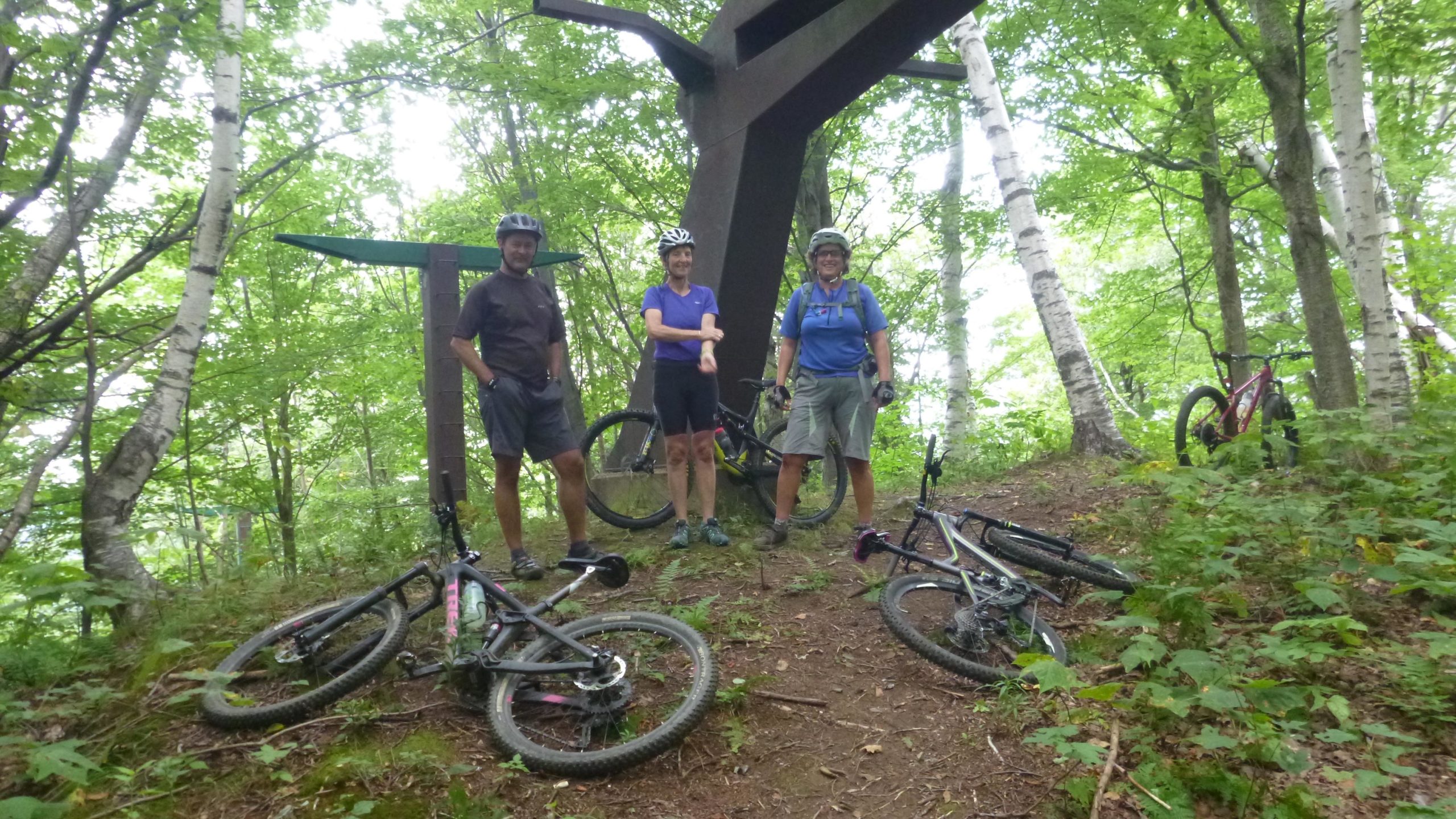 Three mountain bikers posing for a photo on a wooded trail, with their bikes resting on the ground nearby. The lush greenery surrounds them, and they are under a large metal structure that resembles a tree or shelter. Wolftree trail, Bittersweet,Dragon tail, Dave