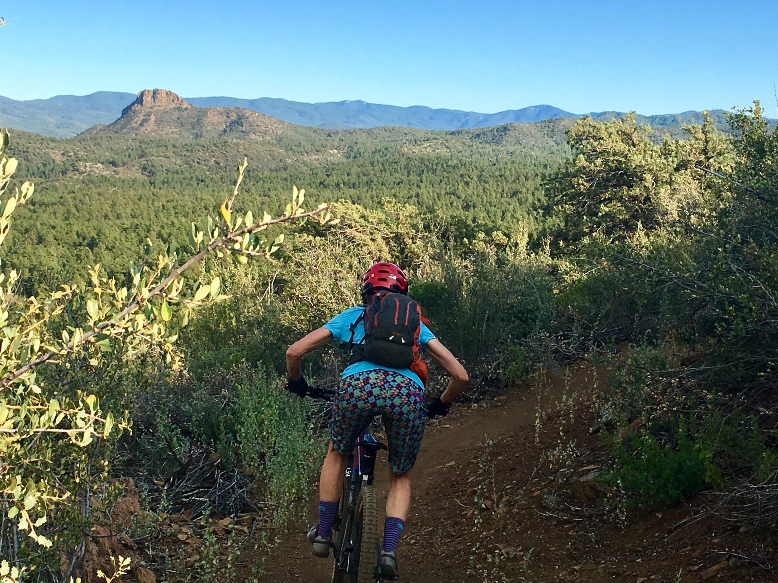 LIV Hail Advanced 1: A mountain biker in colorful attire climbs a dirt trail surrounded by green foliage, with a mountain peak visible in the background under a clear blue sky.