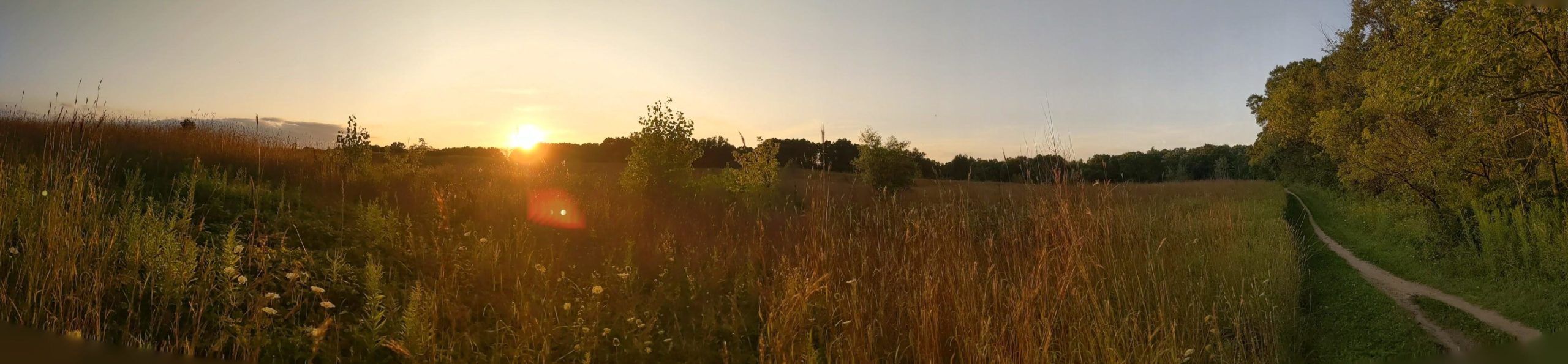 A panoramic view of a serene landscape featuring tall grasses and wildflowers under a golden sunset. A winding dirt path meanders through the scene, bordered by trees in the distance, creating a peaceful and natural atmosphere. Luton Park Trail mountain bike trail.