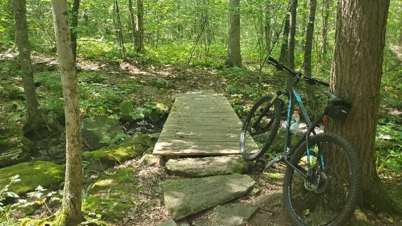 A mountain bike leans against a tree near a wooden footbridge in a lush, green forest. The bridge crosses a small stream, surrounded by moss-covered rocks and dense vegetation. Sunlight filters through the trees, creating a serene outdoor scene. Crandall Park mountain bike trail.