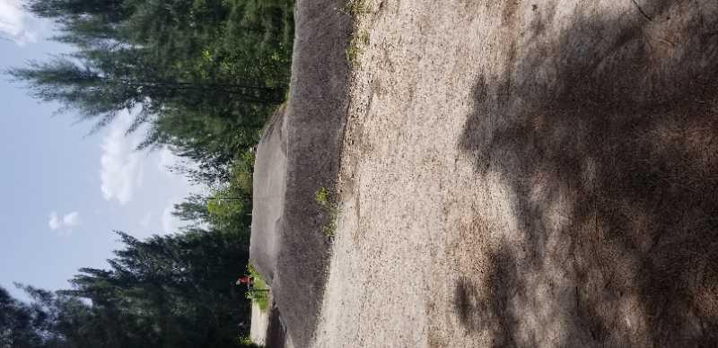 A sandy area surrounded by tall trees, with a gentle slope in the foreground and some scattered greenery. The sky is clear with a few small clouds, indicating a sunny day. Markham Park mountain bike trail.