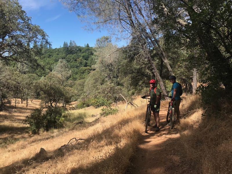 Two cyclists pause on a dirt trail in a lush, green landscape. One is wearing a red helmet and gloves, while the other is dressed in a blue shirt. They are surrounded by trees and golden grass under a clear blue sky, suggesting a warm, sunny day. Clementine / Forresthill Connector Trail mountain bike trail.