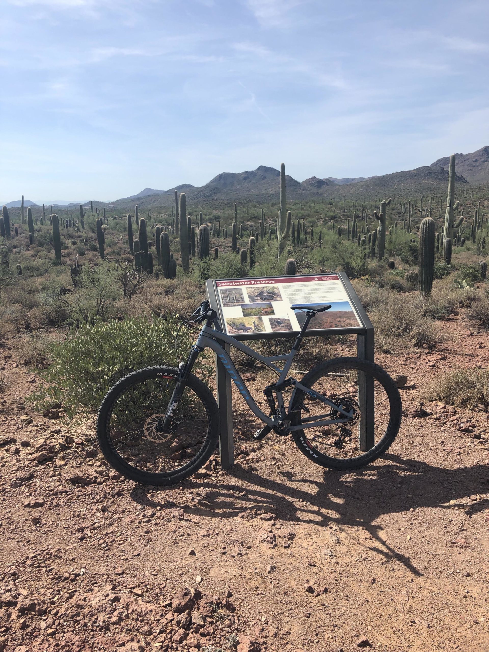 A mountain bike parked next to an informational sign in a desert landscape, featuring cacti and mountains in the background. The scene is sunny with blue skies and a few clouds. Sweetwater Preserve mountain bike trail.