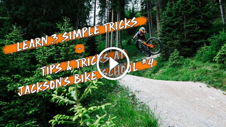 the mountain bike project