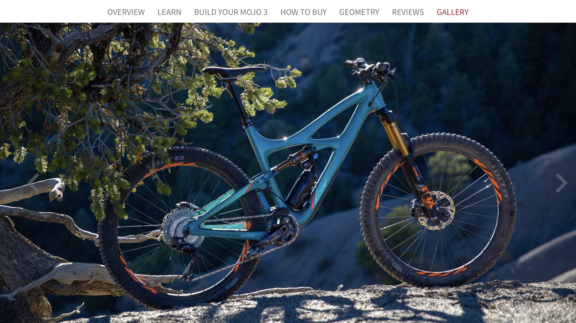 Ibis Mojo 3: A turquoise mountain bike is leaning against a rock in a natural outdoor setting, surrounded by a tree with green foliage. The bike features thick tires and a sophisticated design, ideal for rugged terrain. Sunlight highlights its details, creating a striking visual against the natural backdrop.