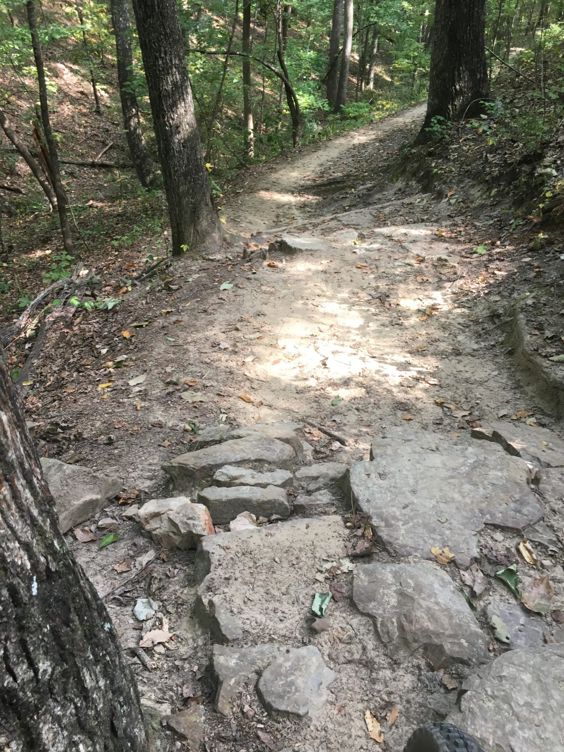 A winding dirt trail through a forest, featuring rocky sections and surrounded by trees with green leaves. The path shows signs of wear and is partially covered in fallen leaves. Oak Mountain State Park Bump Trail mountain bike trail.