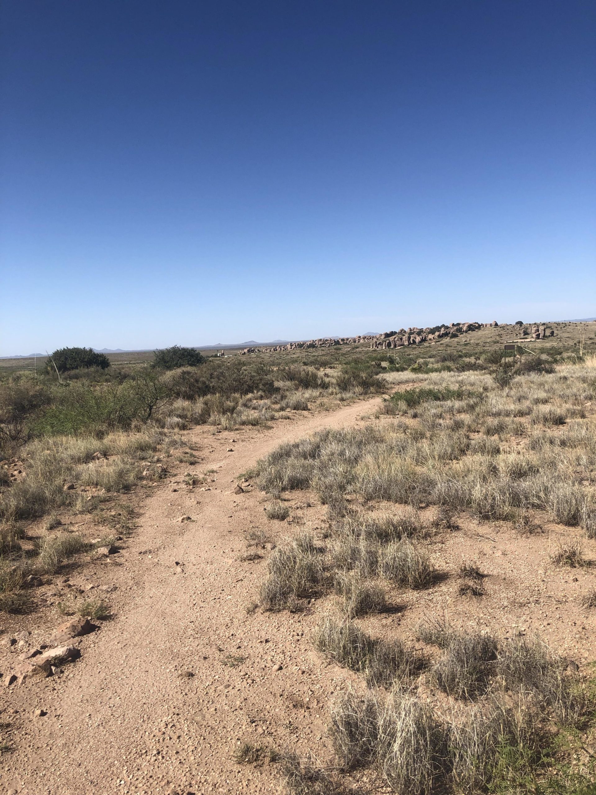 A dirt path winding through a grassy, arid landscape under a clear blue sky, with scattered shrubs and larger rock formations in the distance. City Of Rocks mountain bike trail.