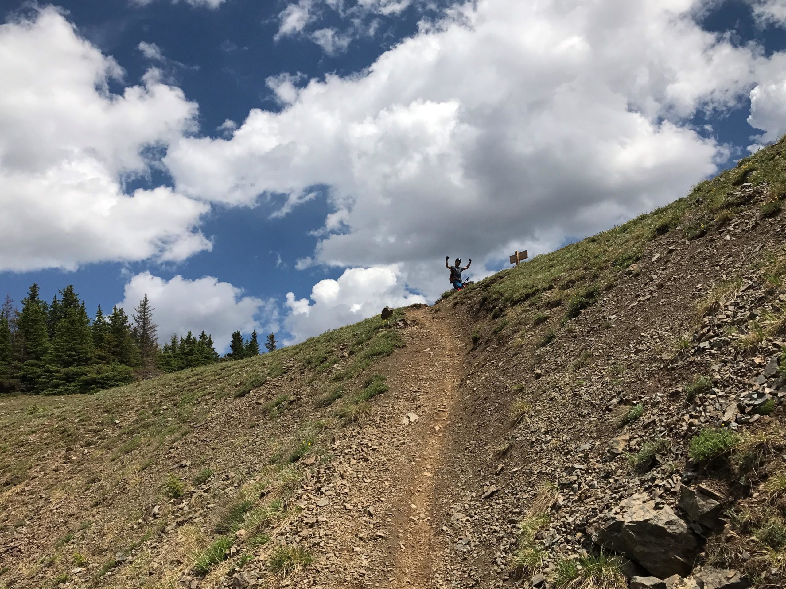 A hiker stands at the top of a grassy slope, raising their arms in celebration against a backdrop of blue sky and fluffy white clouds. Lush evergreen trees line the background, and a trail winds up the hillside, leading to a wooden signpost. Colorado Trail mountain bike trail.