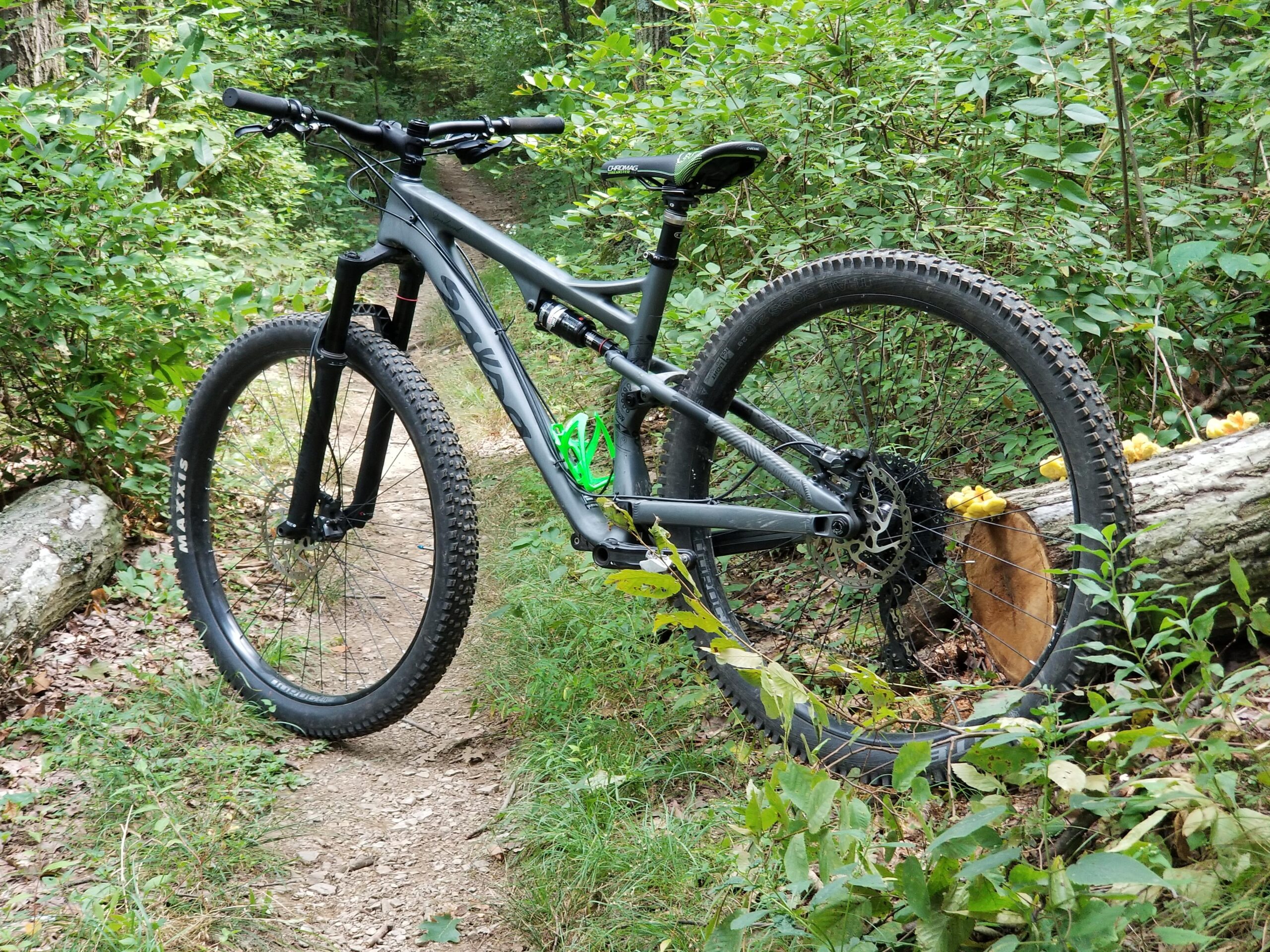 Salsa Deadwood Sus: A gray mountain bike positioned on a dirt path surrounded by green foliage and trees. The bike features thick tires and is resting next to a log with small mushrooms growing on it. The scene represents a quiet, natural setting ideal for outdoor cycling.