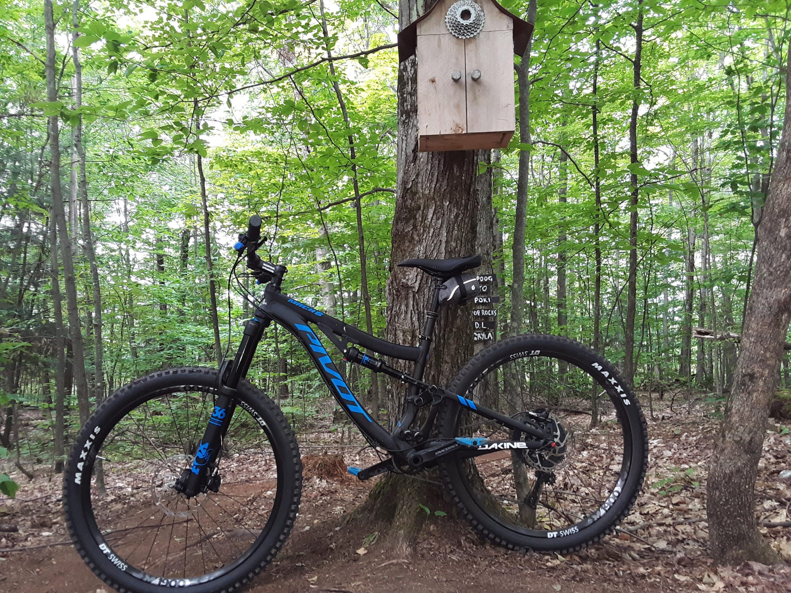 Pivot Mach 6: A mountain bike leaning against a tree in a lush green forest, with a wooden birdhouse attached to the tree above it. The scene captures the tranquility of nature, with sunlight filtering through the leaves.