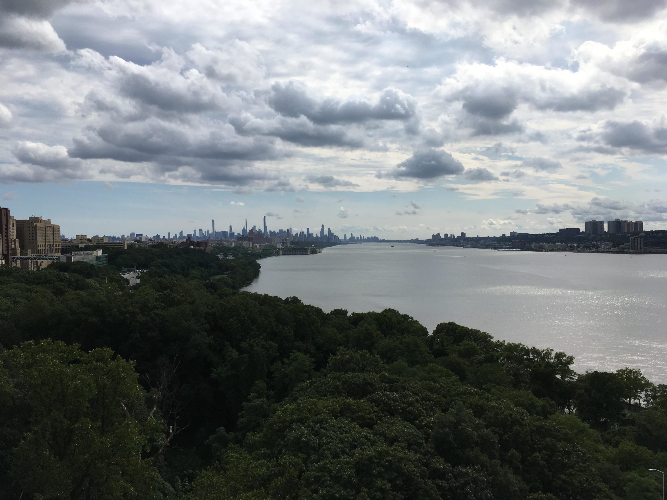 A panoramic view of the Hudson River with lush green trees in the foreground, leading to a skyline of tall buildings in the distance under a cloudy sky. The scene captures a serene landscape featuring water and urban architecture. West Street Greenway mountain bike trail.