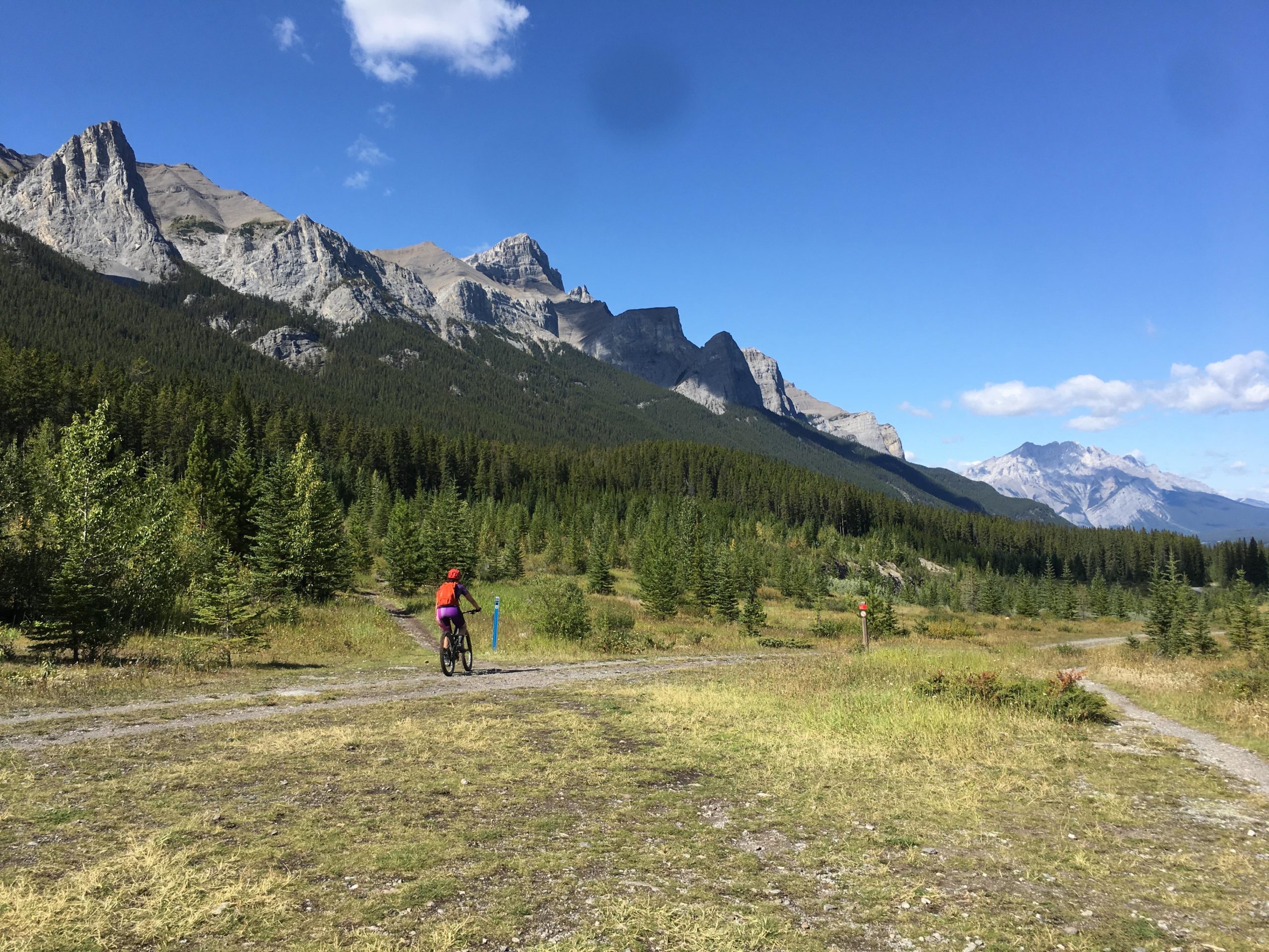 A person riding a mountain bike on a dirt path in a forested area, surrounded by tall trees and rugged mountains under a clear blue sky. The individual wears a bright red helmet and purple clothing, with trail markers visible along the path. Canmore Nordic Centre mountain bike trail.