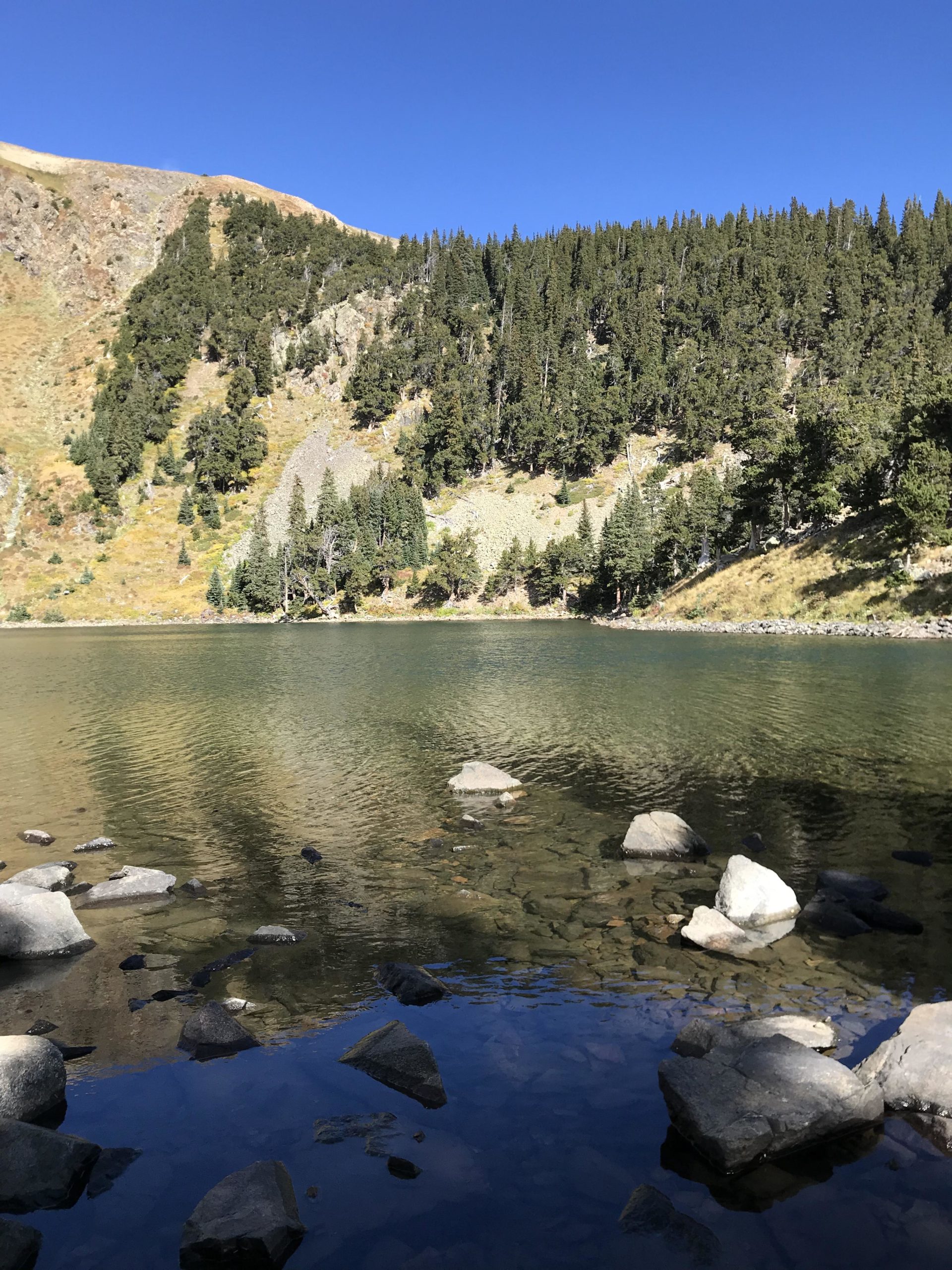 A serene landscape featuring a calm lake surrounded by rocky shoreline and dense evergreen trees. In the background, a steep hillside is visible, partially covered in light vegetation under a clear blue sky. The water reflects the greenery and stones, creating a peaceful and natural atmosphere. Lost Lake to East Fork Loop mountain bike trail.