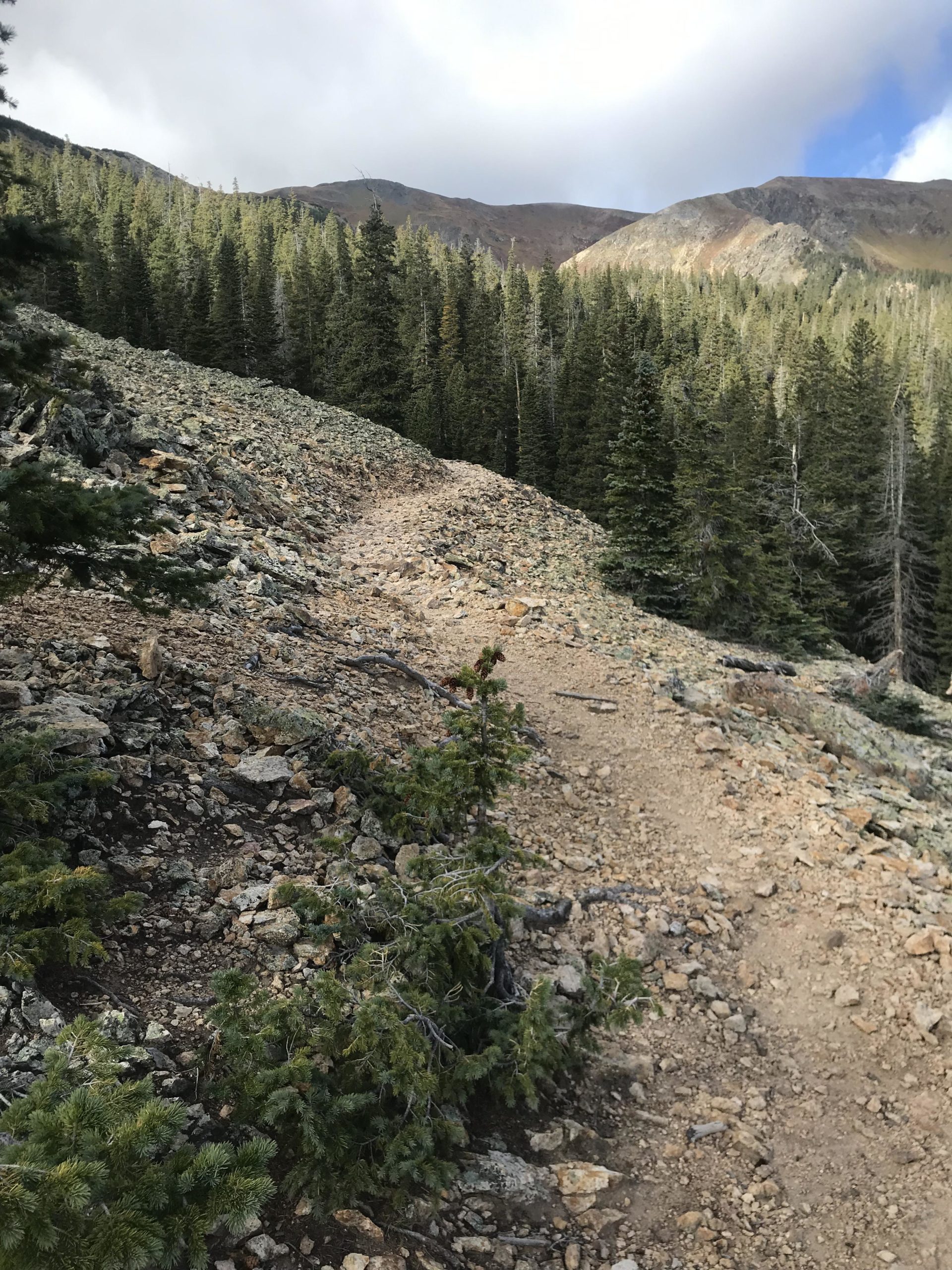 A rocky hiking path meanders through a dense forest of evergreen trees, leading towards distant mountains under a partly cloudy sky. Lost Lake to East Fork Loop mountain bike trail.