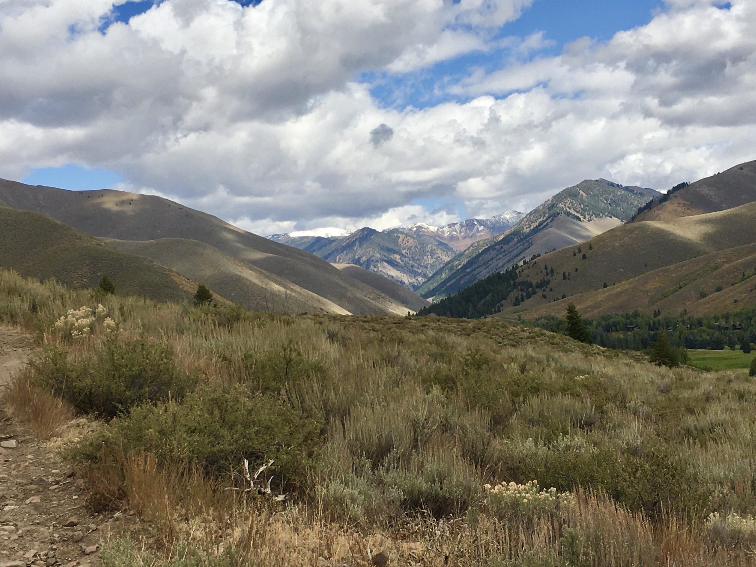 Landscape featuring rolling hills and mountains under a partly cloudy sky. The foreground shows a mix of shrubs and grasses, while the background reveals snow-capped peaks and lush greenery in the valley below. The scene conveys a sense of natural beauty and tranquility. White Clouds Trails mountain bike trail.