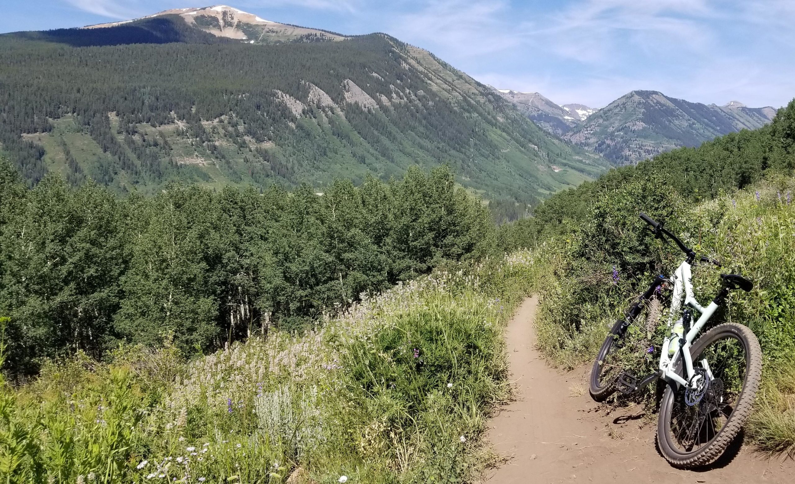 A mountain bike resting against vegetation along a dirt trail, with a backdrop of lush green mountains and a clear blue sky. Wildflowers line the path, and the scene evokes a sense of outdoor adventure in a natural setting. Lupine Trail mountain bike trail.
