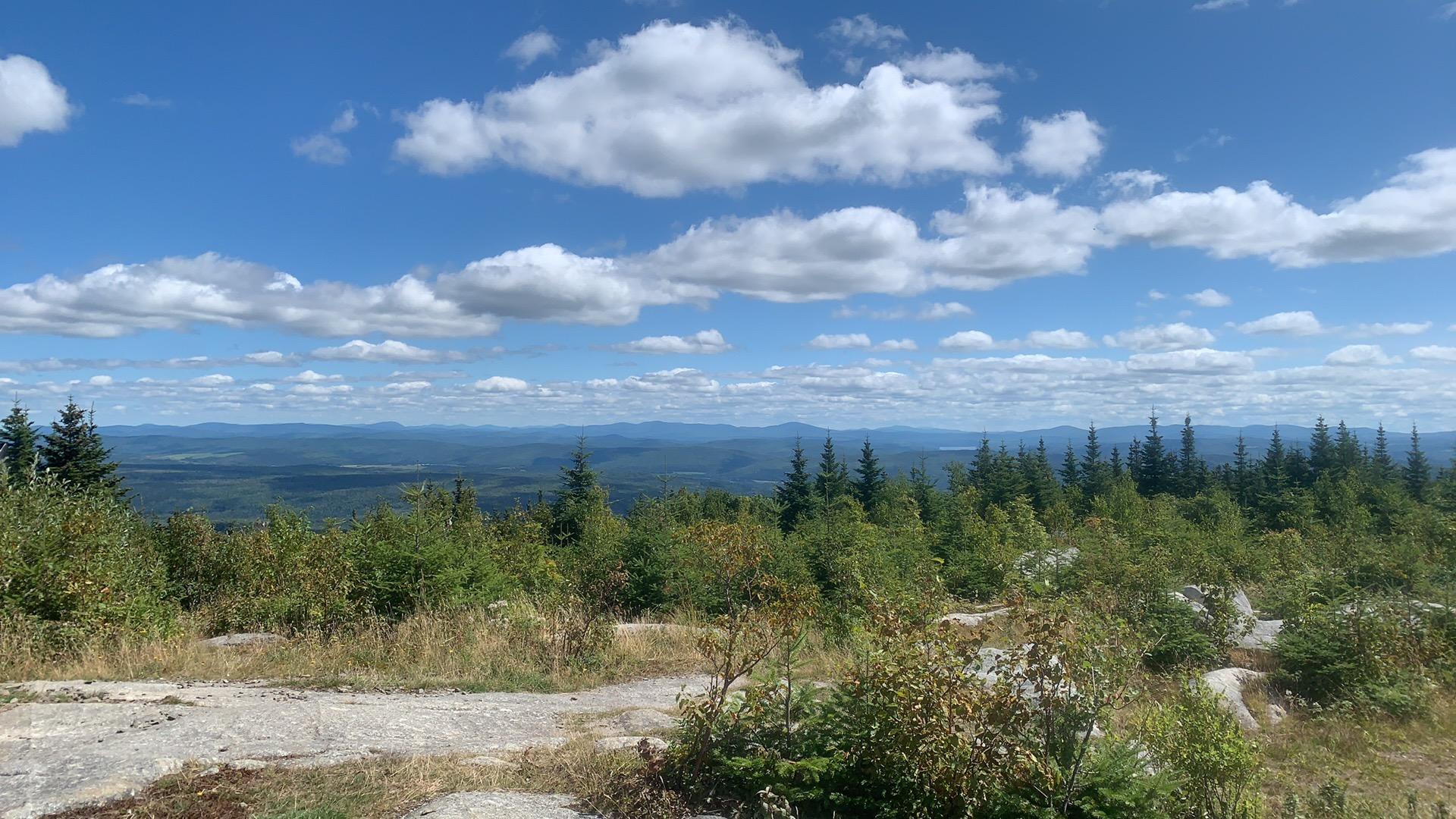 A panoramic view of a lush, green mountain landscape under a blue sky dotted with fluffy white clouds. The foreground features a mix of shrubs and trees, while rolling hills extend into the distance, creating a serene and picturesque natural scene. Circuit Frontières mountain bike trail.