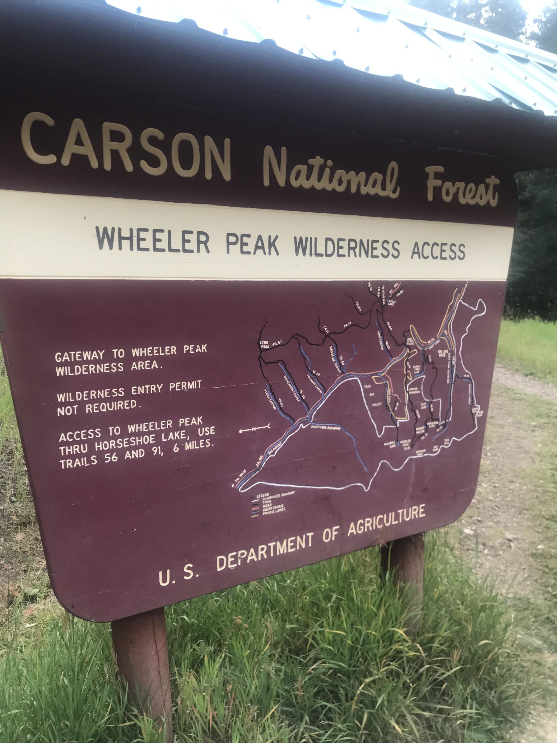 Sign for Carson National Forest featuring information about Wheeler Peak Wilderness Access. The sign includes a map and details on trail access, noting no entry permit is required and providing directions to Horseshoe Lake via specific trails. The base of the sign features the U.S. Department of Agriculture logo. Green grass is visible at the bottom of the image. Lost Lake to East Fork Loop mountain bike trail.