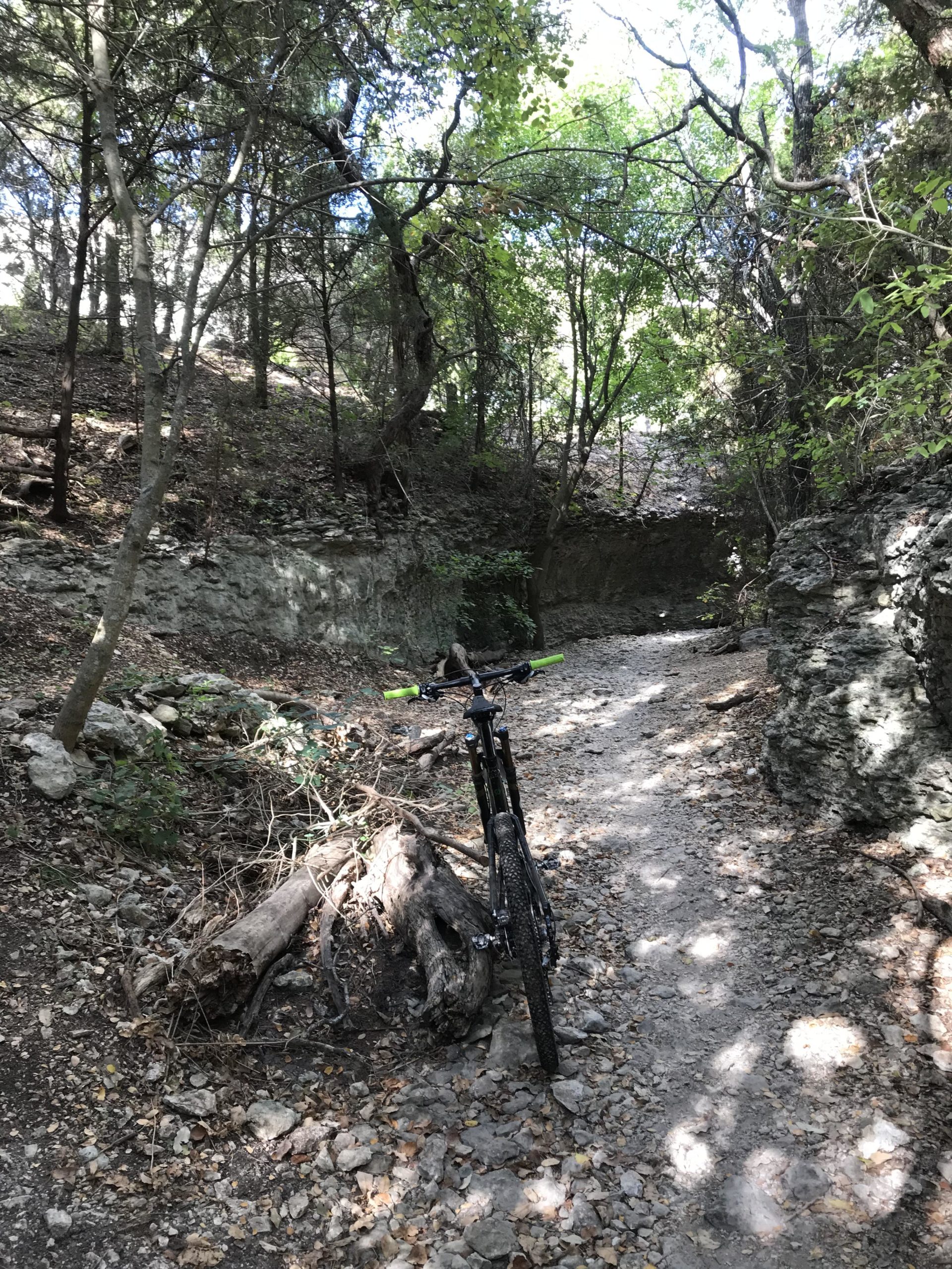 A mountain bike is parked on a rocky, leaf-covered trail surrounded by tall trees and greenery in a wooded area. The sunlight filters through the leaves, creating a dappled light effect on the ground. Brushy Creek mountain bike trail.