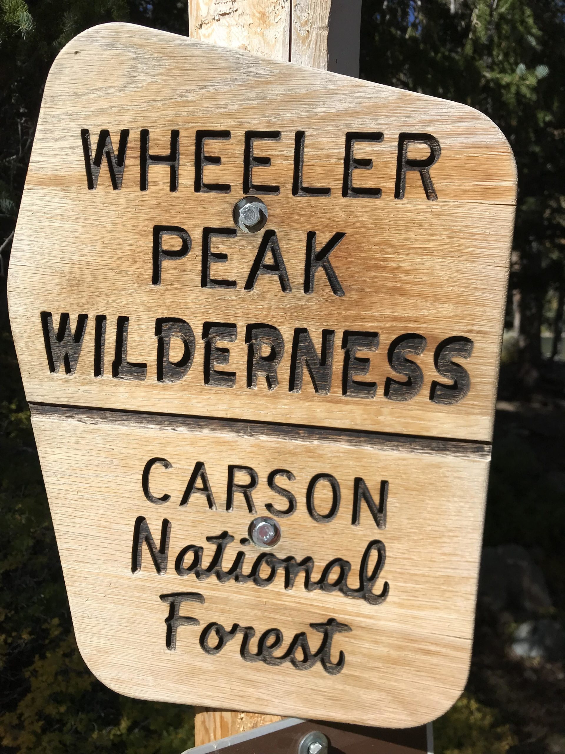 Wooden sign indicating "Wheeler Peak Wilderness" and "Carson National Forest." The sign features carved lettering and is mounted on a post, surrounded by trees and natural scenery. Lost Lake to East Fork Loop mountain bike trail.