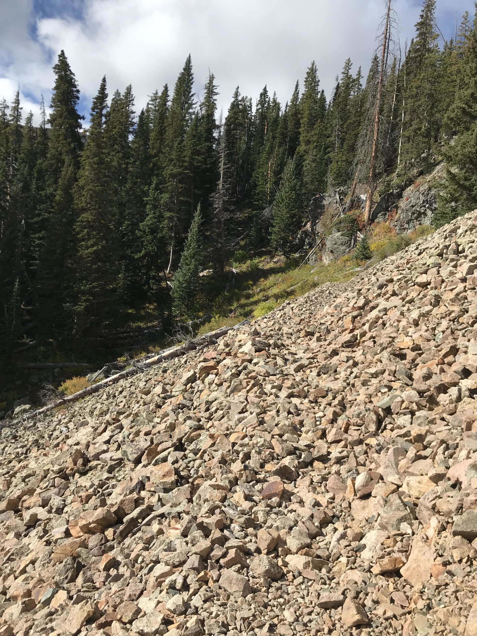 A rocky hillside covered in various sizes of stones, leading up to a dense forest of tall evergreen trees. The scene is set under a partly cloudy sky, with green vegetation interspersed among the rocks. Lost Lake to East Fork Loop mountain bike trail.
