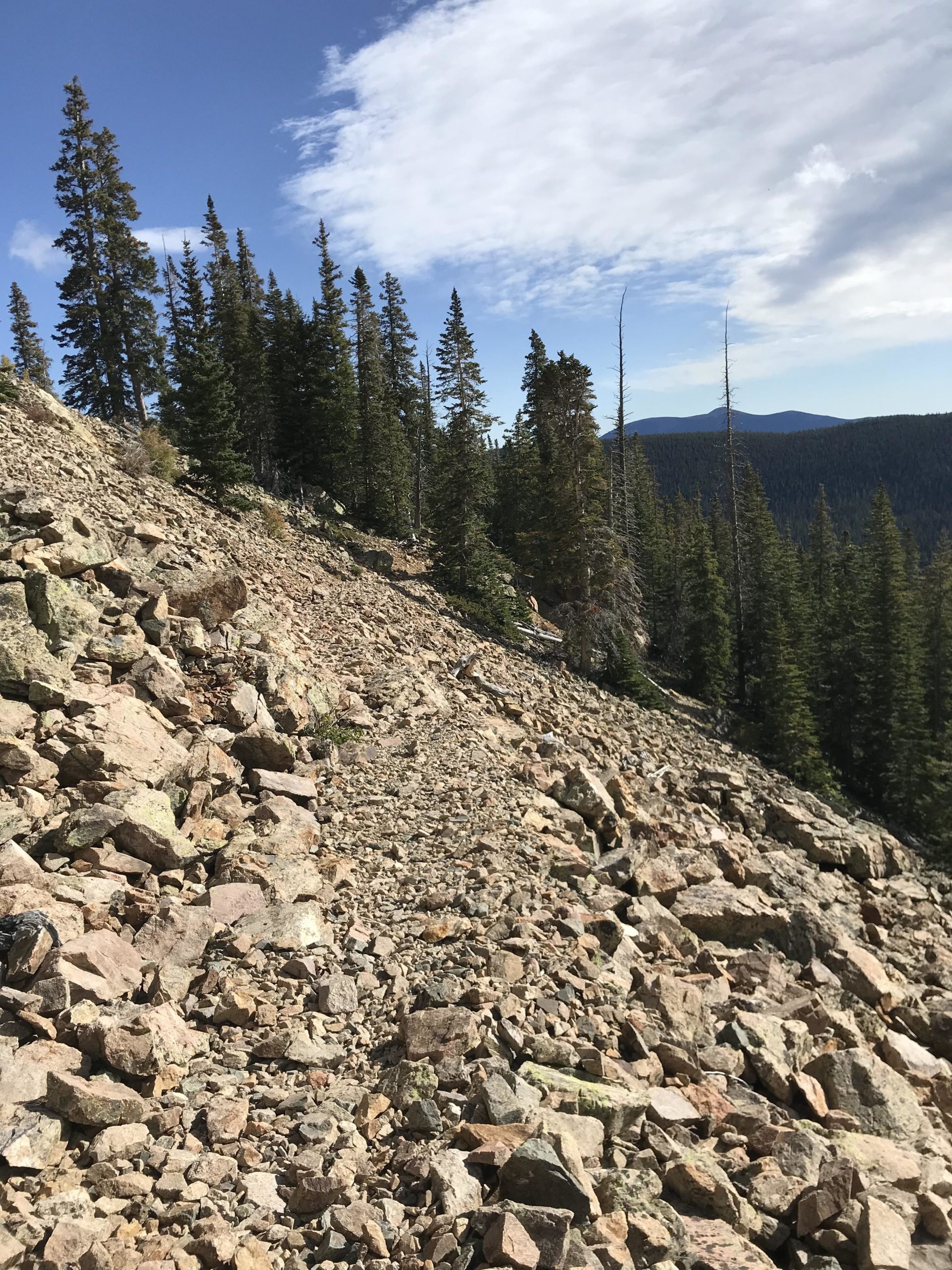 A rocky hillside with scattered stones and boulders, surrounded by tall pine trees under a partly cloudy sky. Mountains can be seen in the distance, creating a scenic natural landscape. Lost Lake to East Fork Loop mountain bike trail.